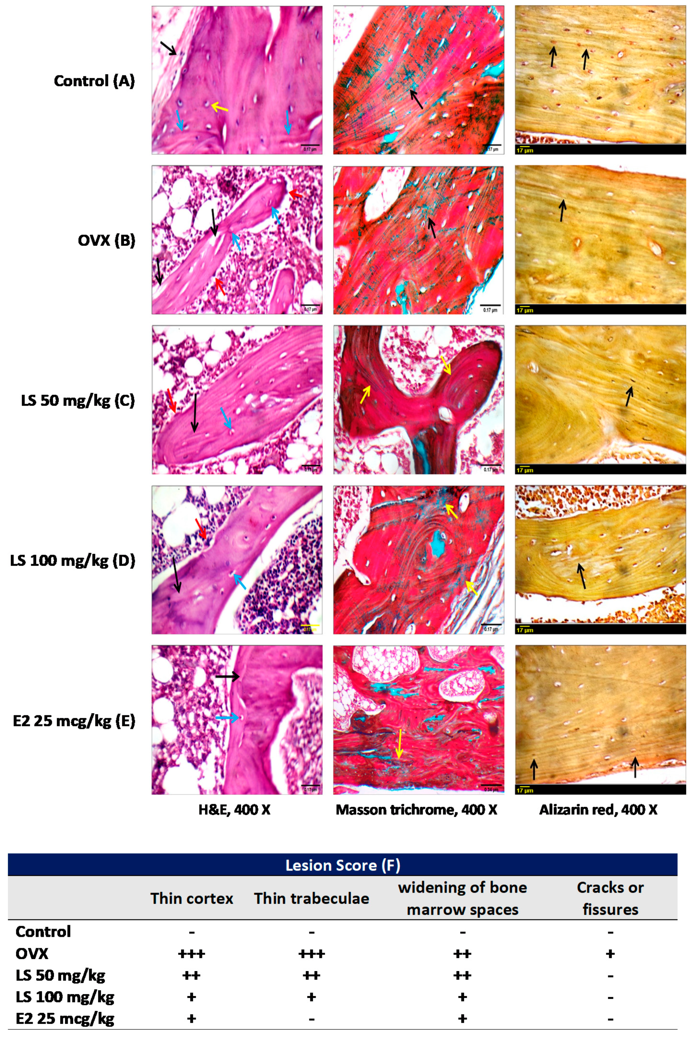 Nutrients 12 02075 g002