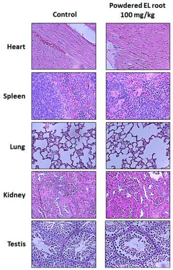 Nutrients 12 02111 g0a1