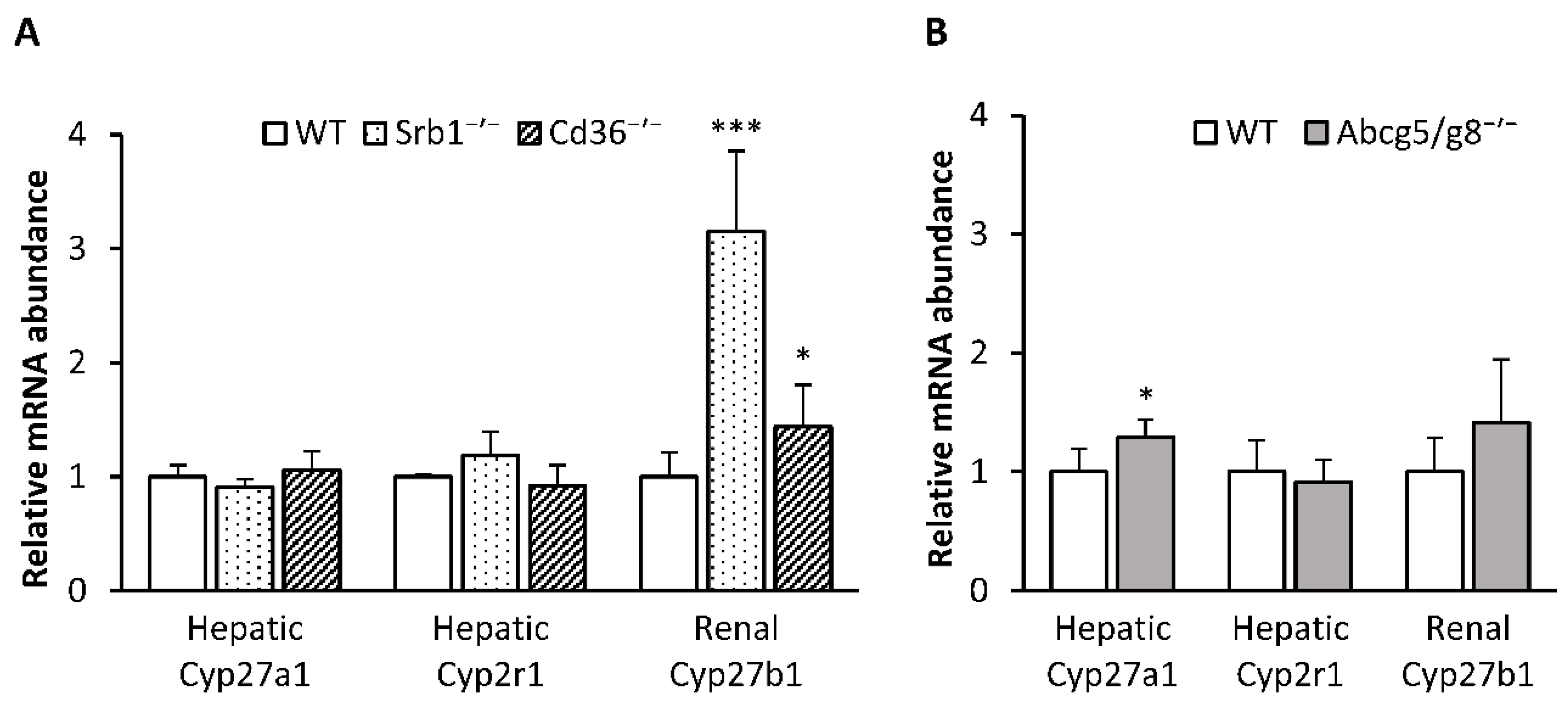 Nutrients 12 02169 g003 Nutrients 12 02169 g003