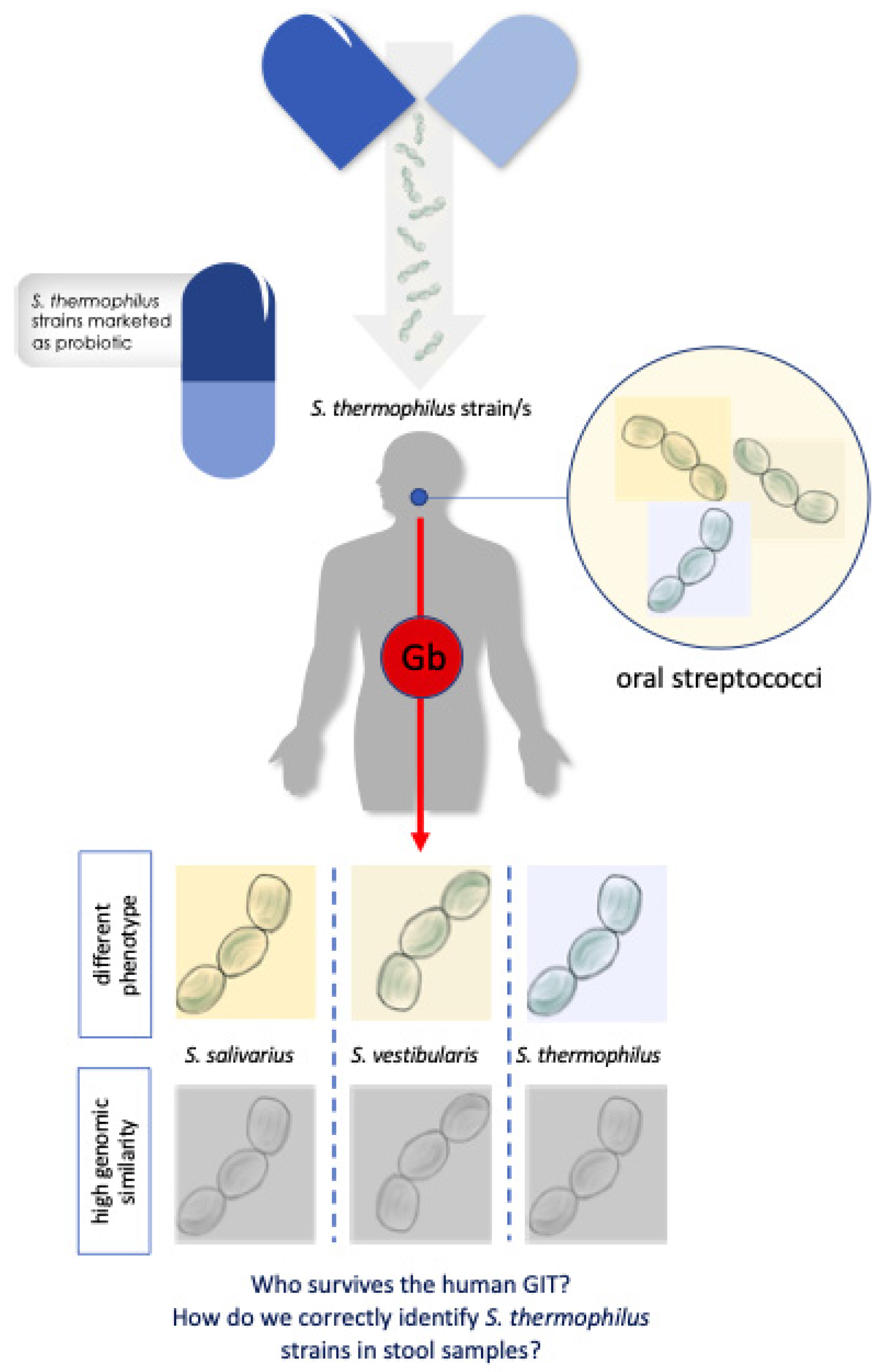 Nutrients 12 02175 g001