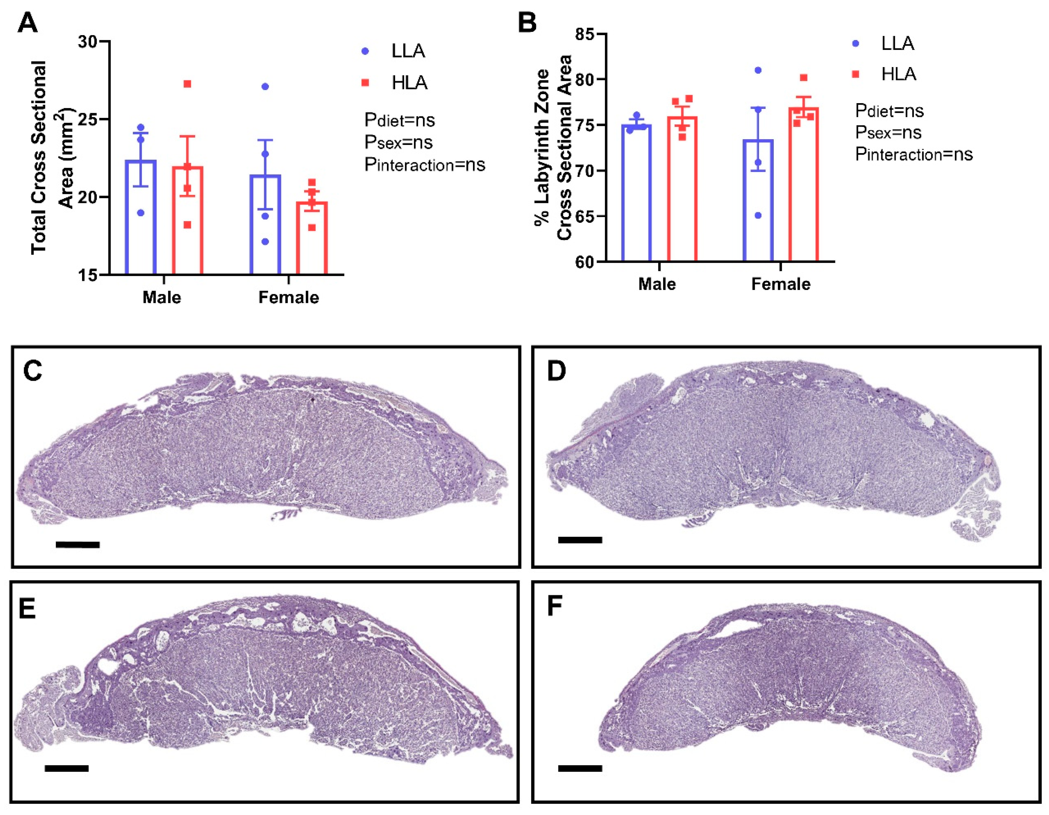 Nutrients 12 02183 g002