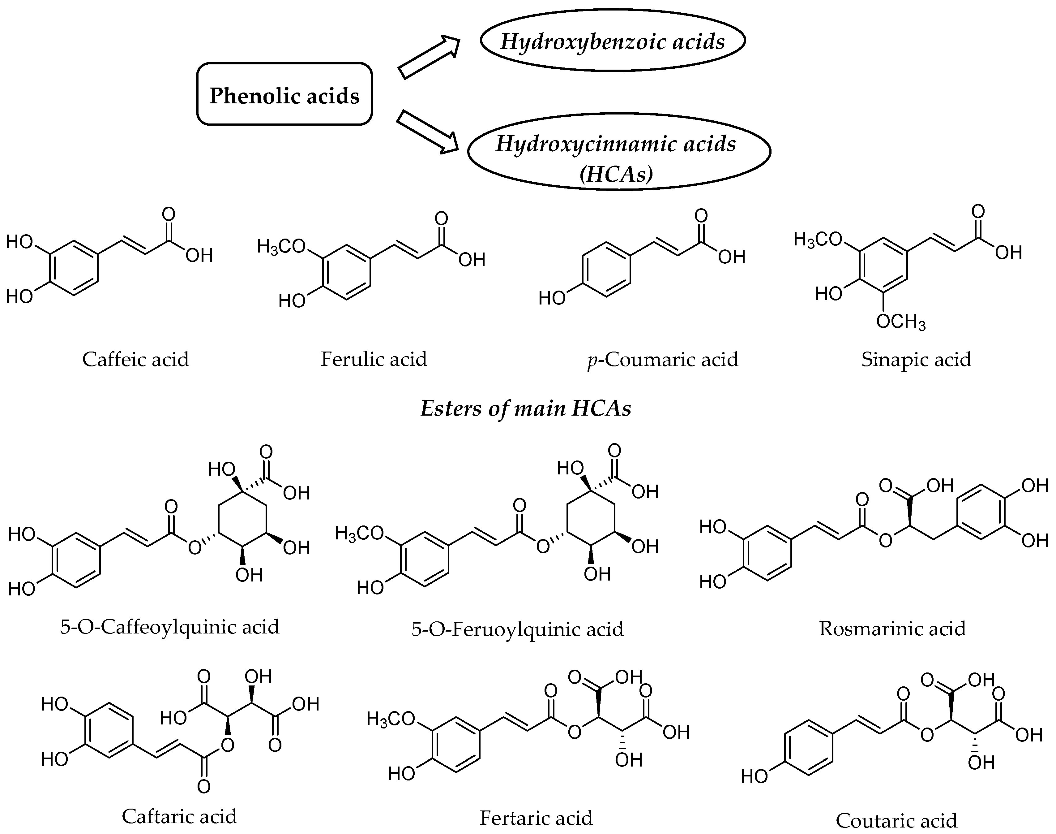 Nutrients 12 02190 g001