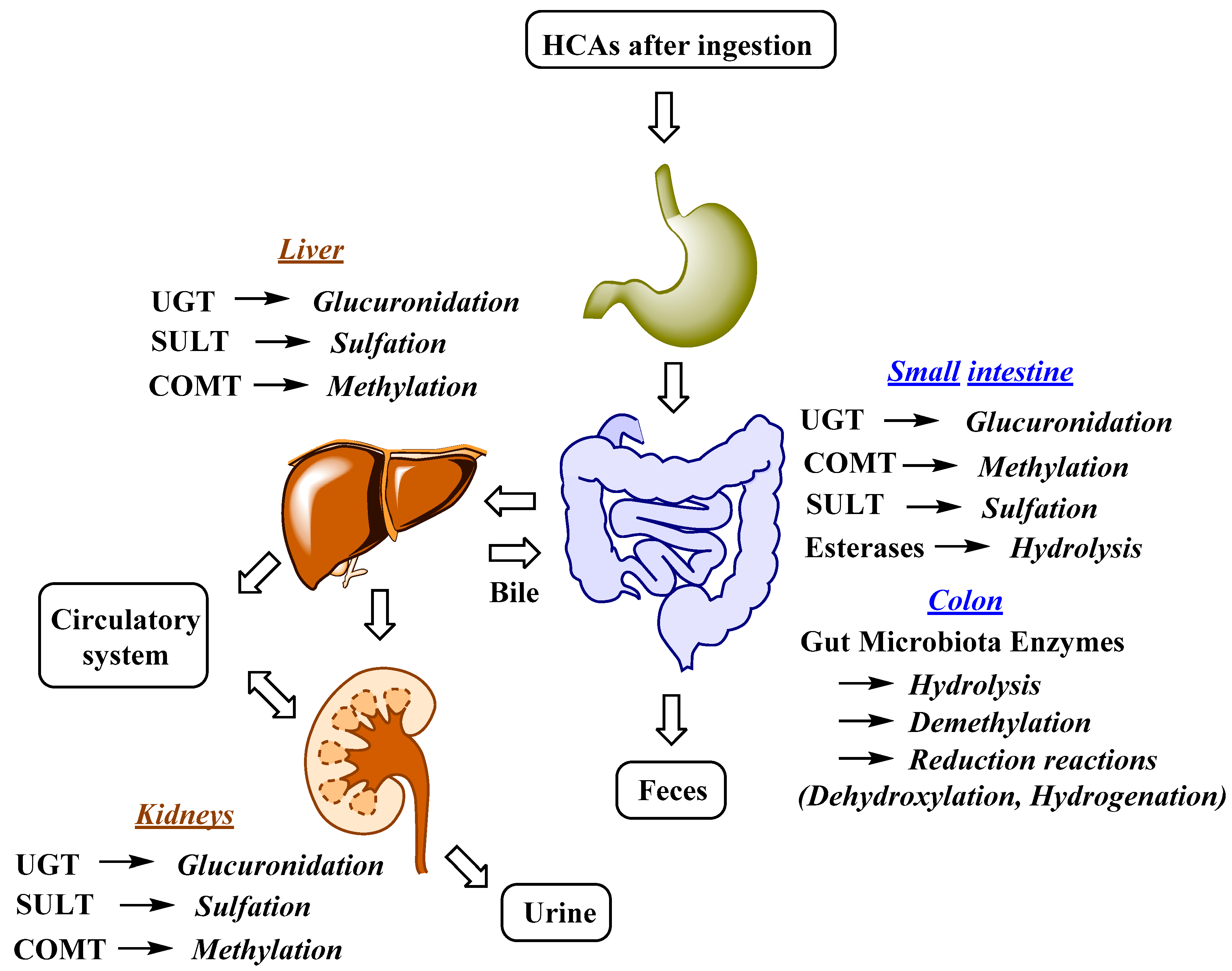 Nutrients 12 02190 g002