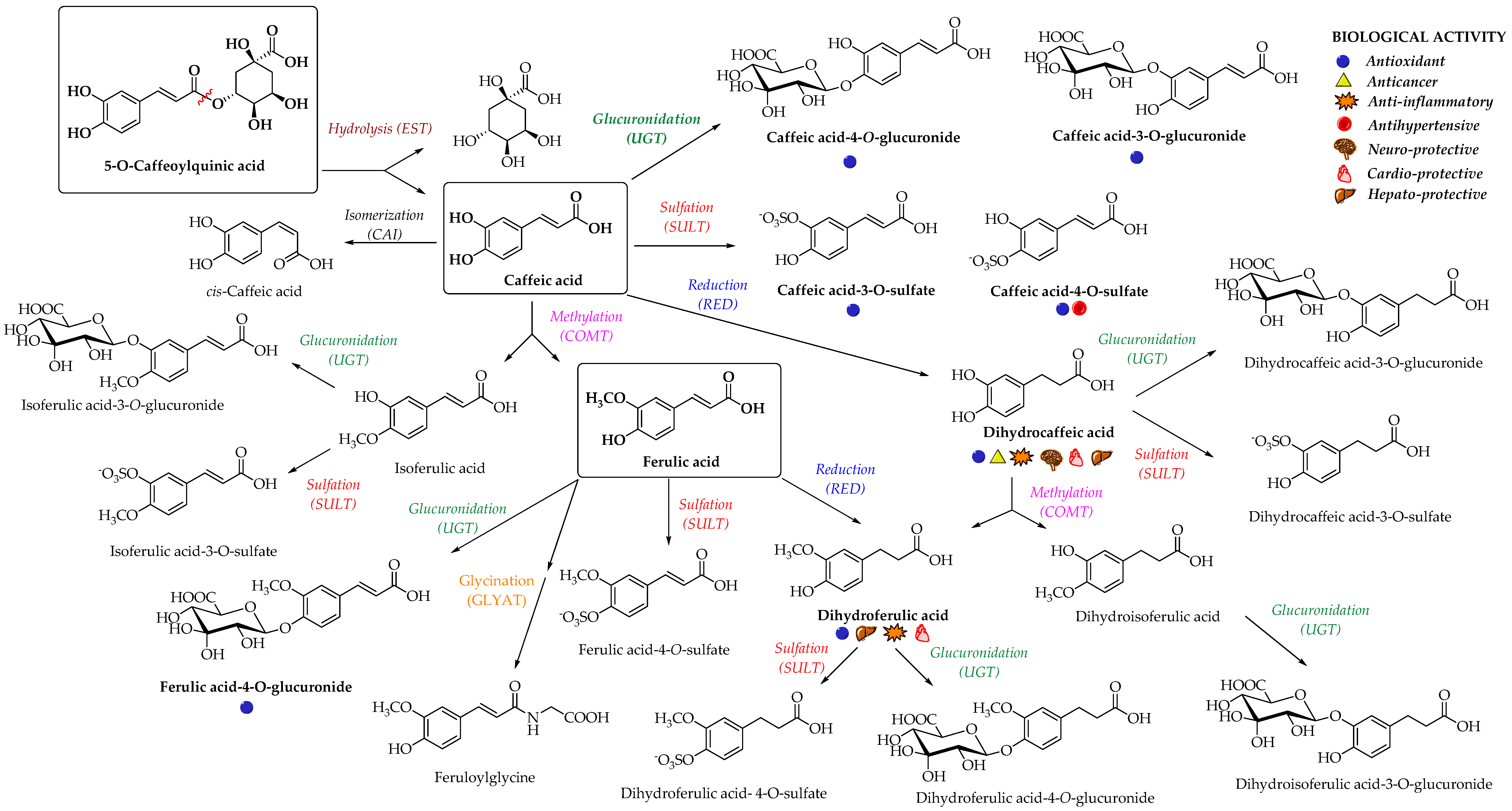 Nutrients 12 02190 g003