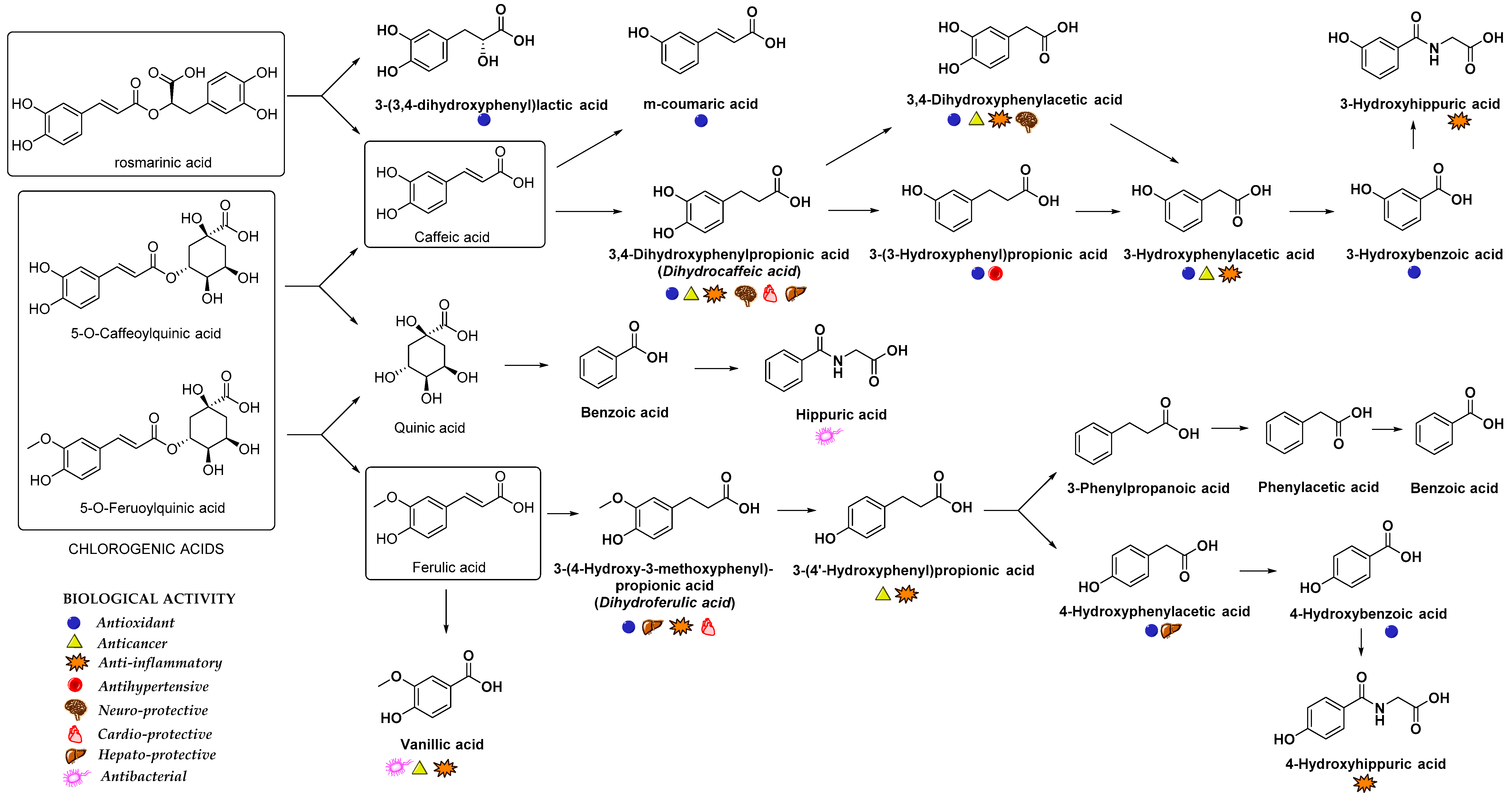 Nutrients 12 02190 g004