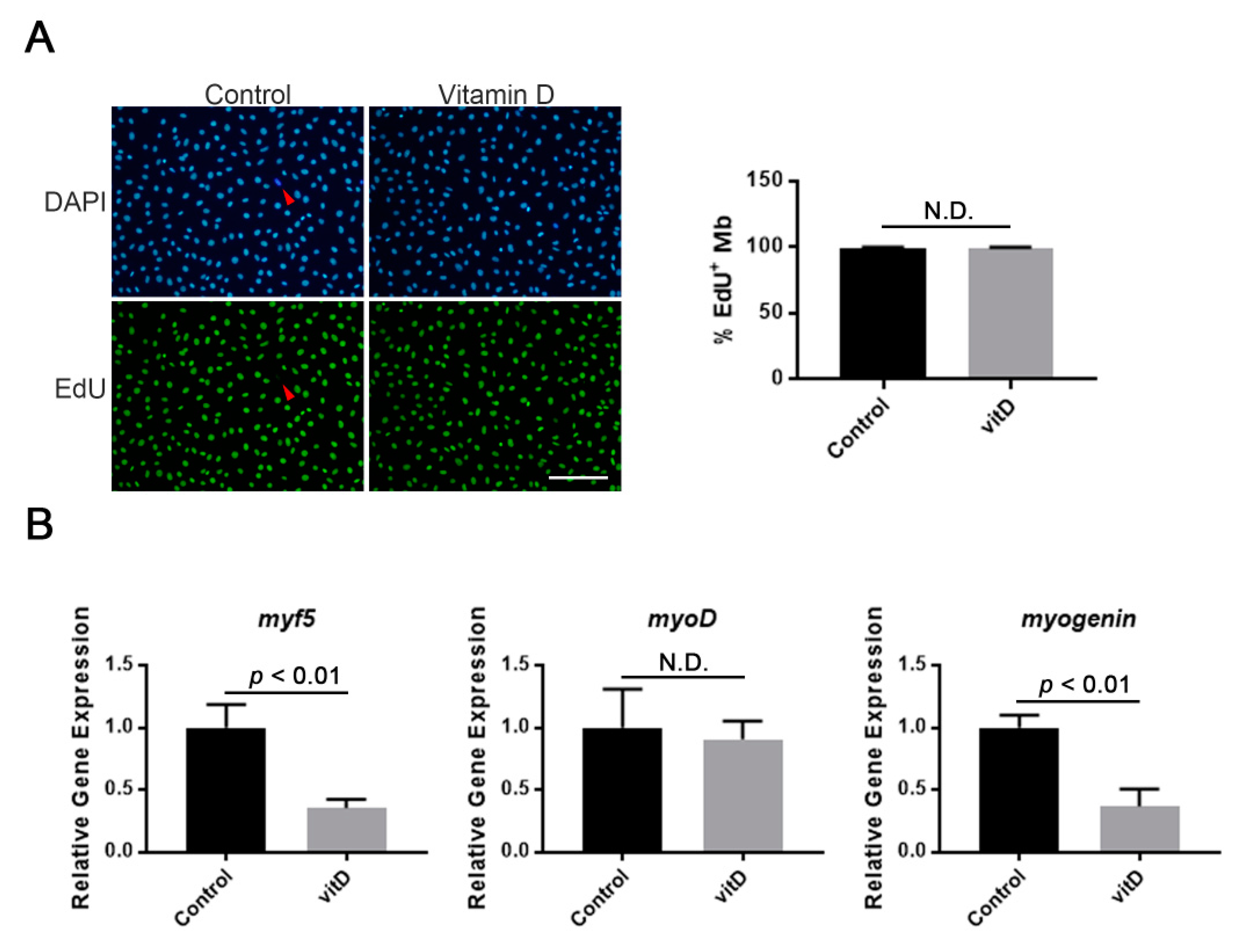 Nutrients 12 02192 g001