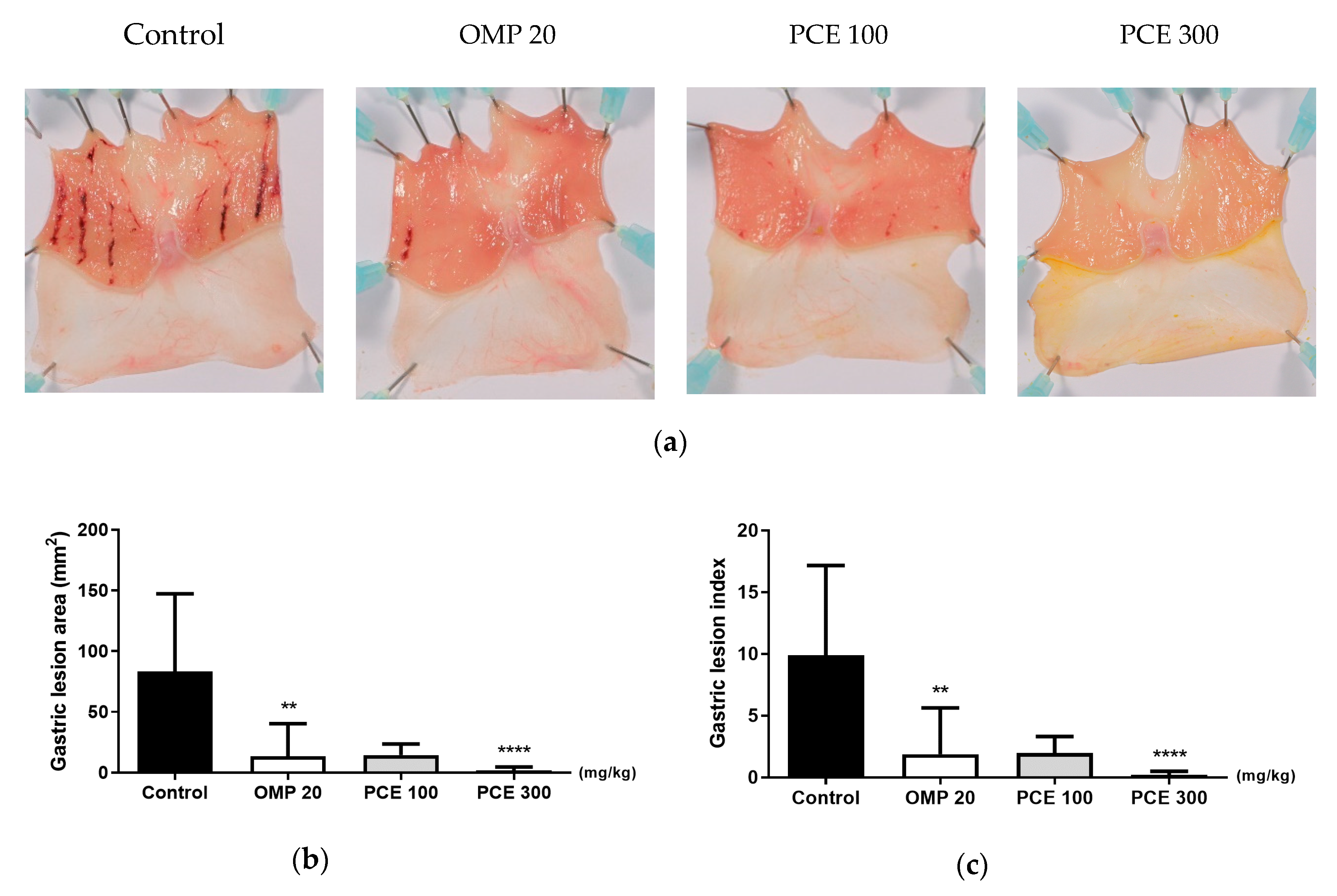 Nutrients 12 02241 g002