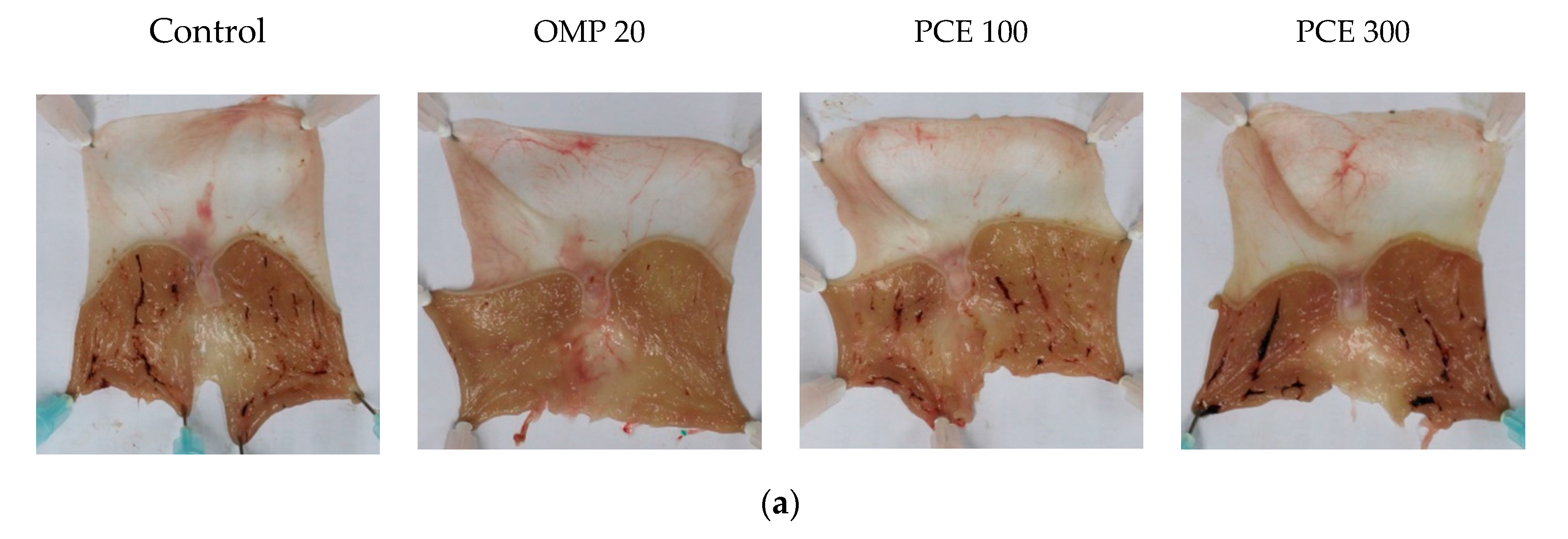 Nutrients 12 02241 g003a