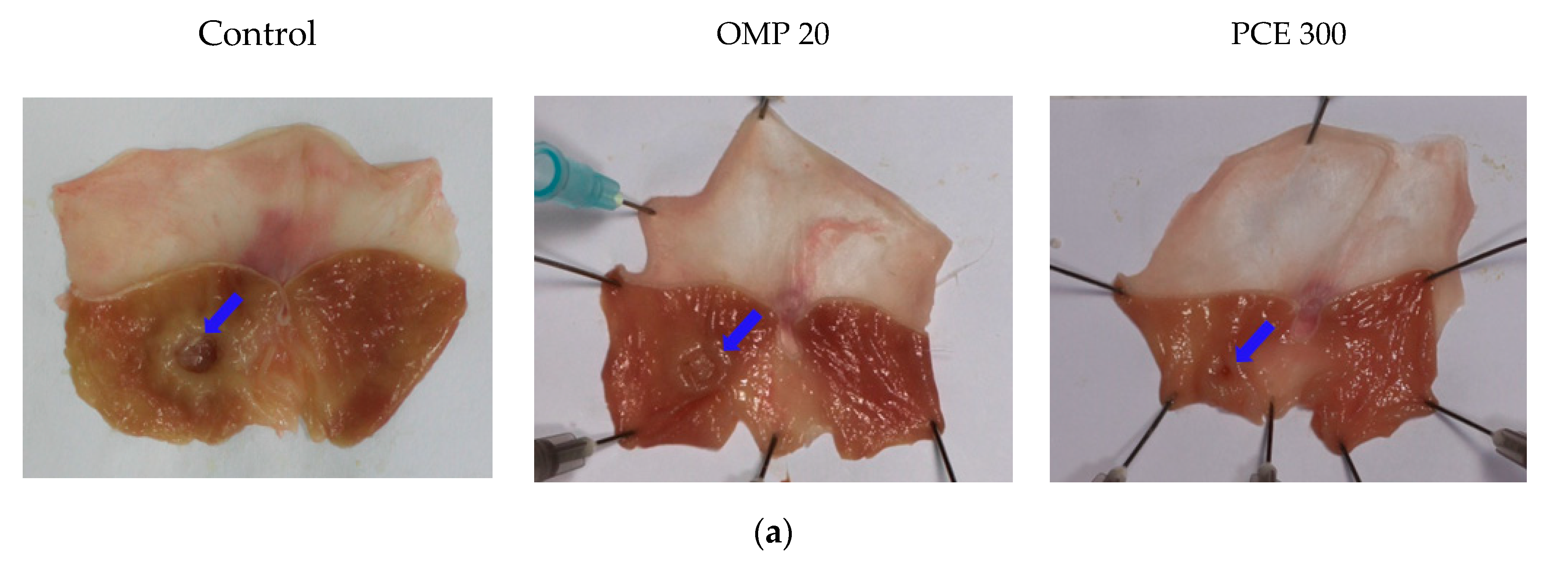 Nutrients 12 02241 g004a