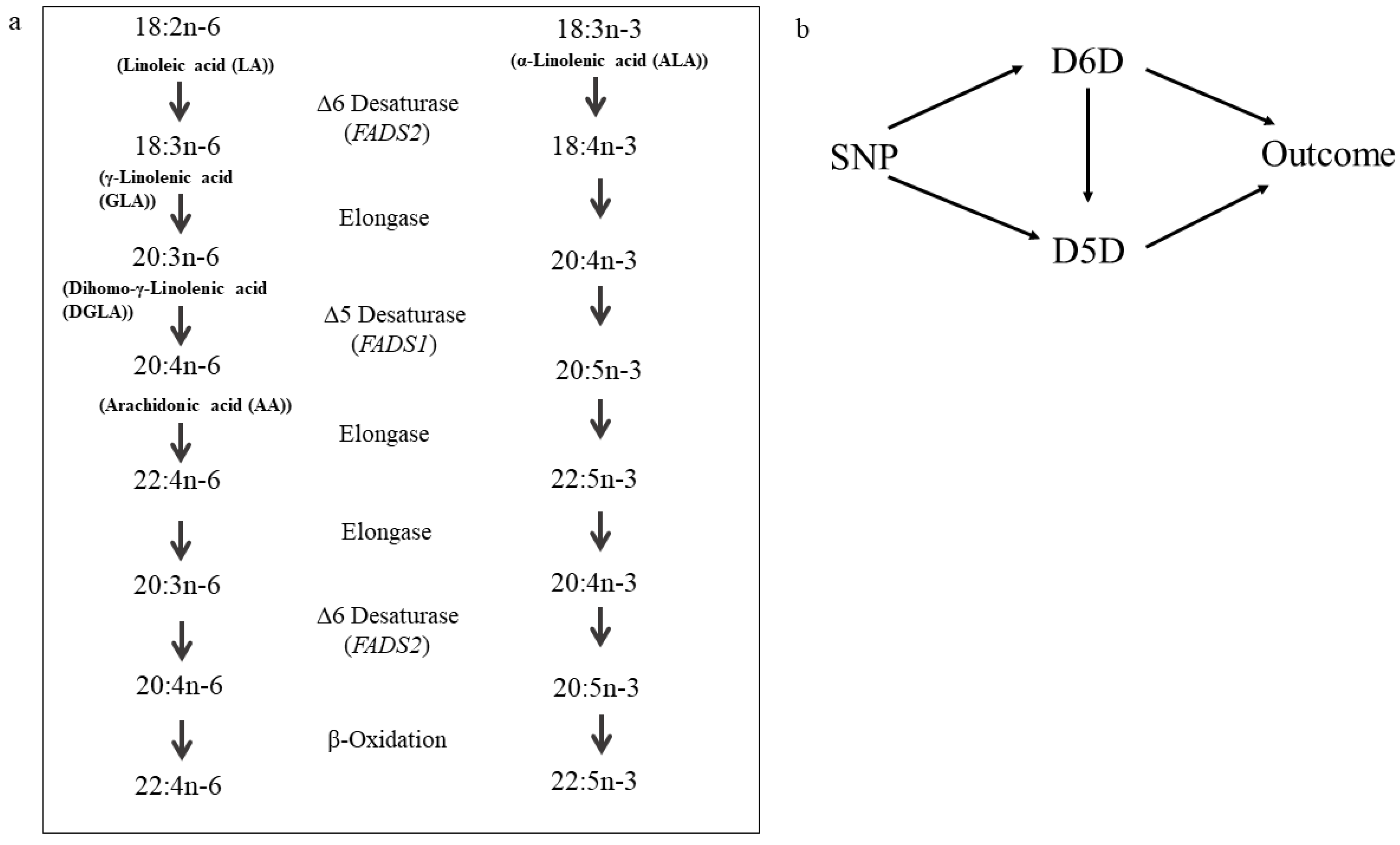 Nutrients 12 02261 g001 Nutrients 12 02261 g001