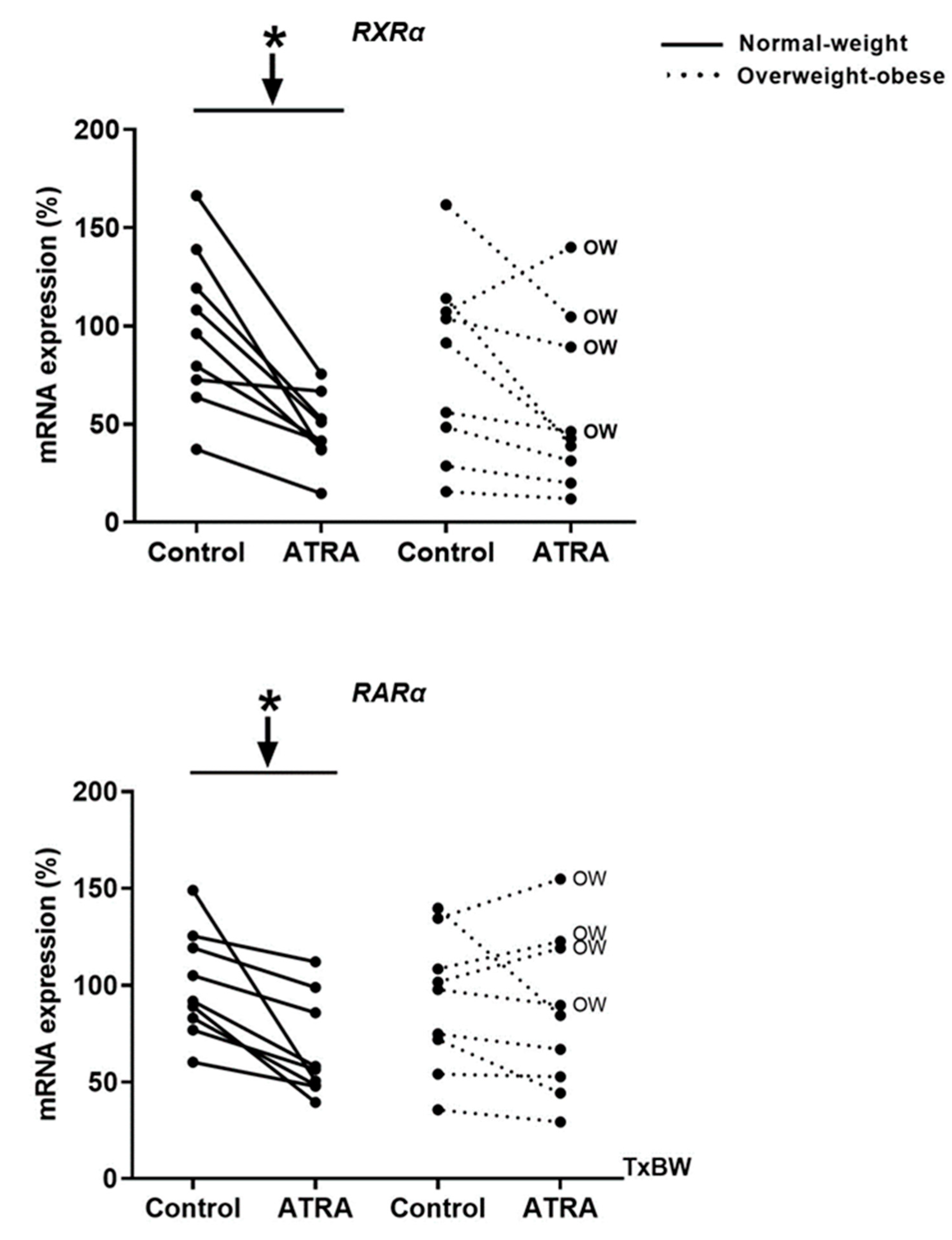 Nutrients 12 02269 g002 Nutrients 12 02269 g002