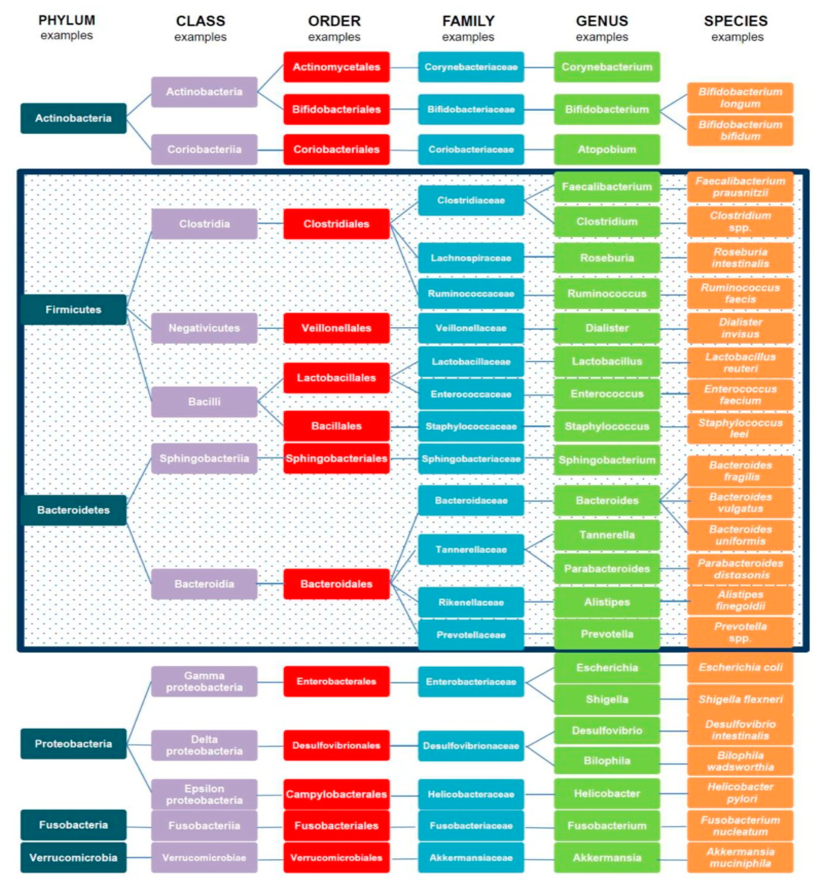 Nutrients 12 02285 g001