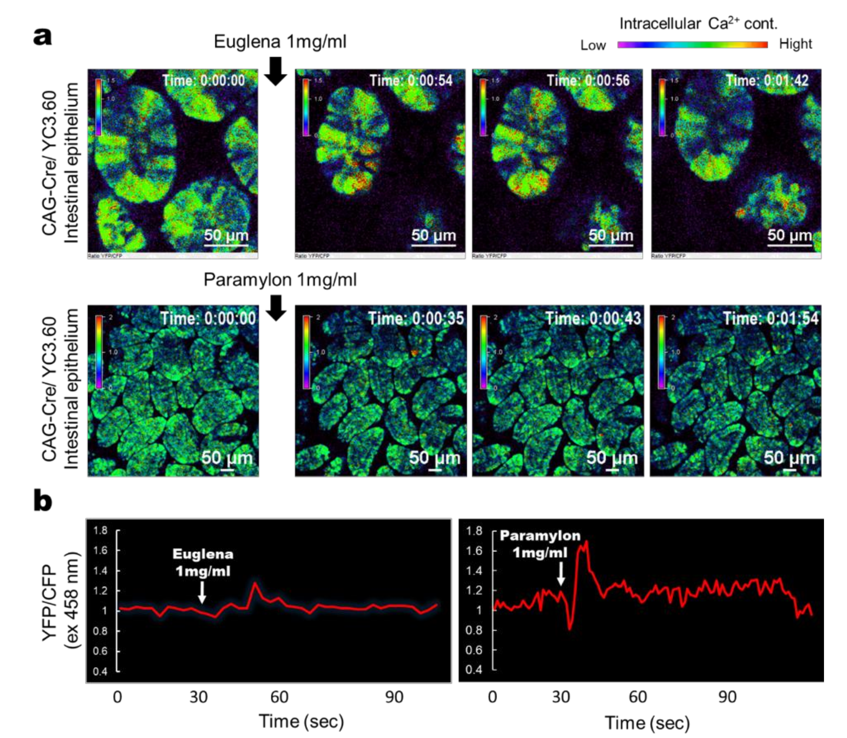 Nutrients 12 02293 g001 Nutrients 12 02293 g001