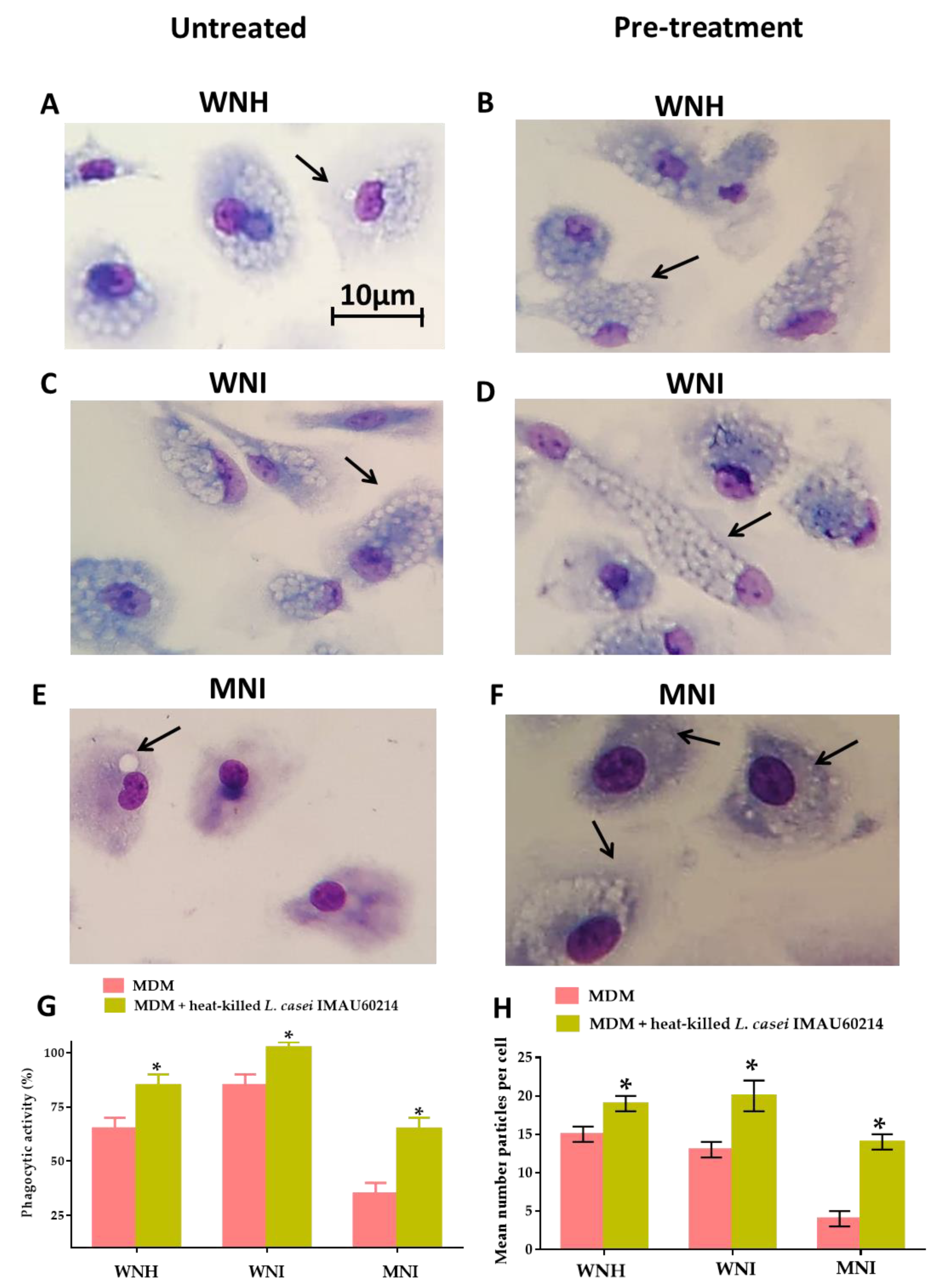 Nutrients 12 02303 g003