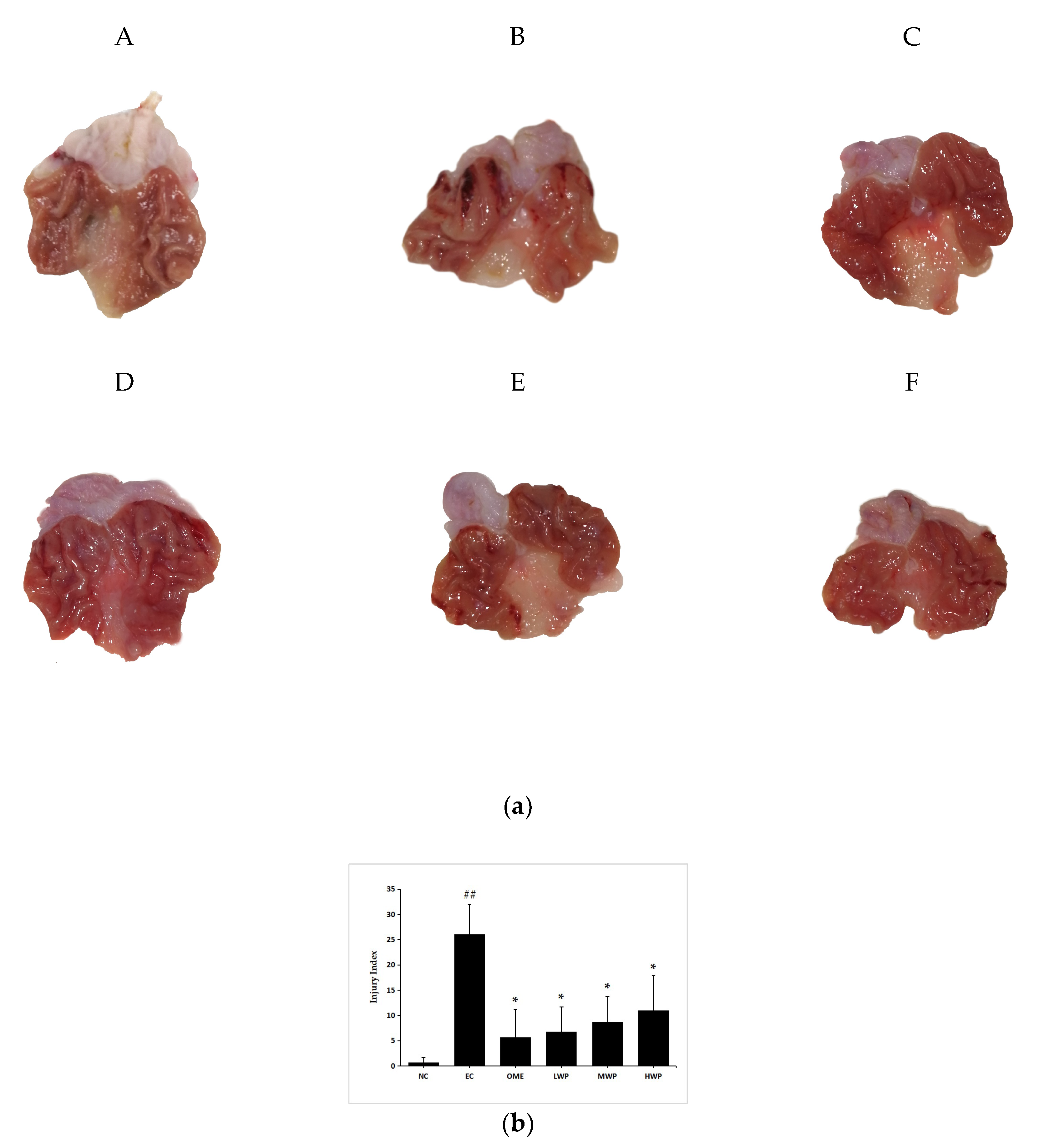 Nutrients 12 02355 g001 Nutrients 12 02355 g001