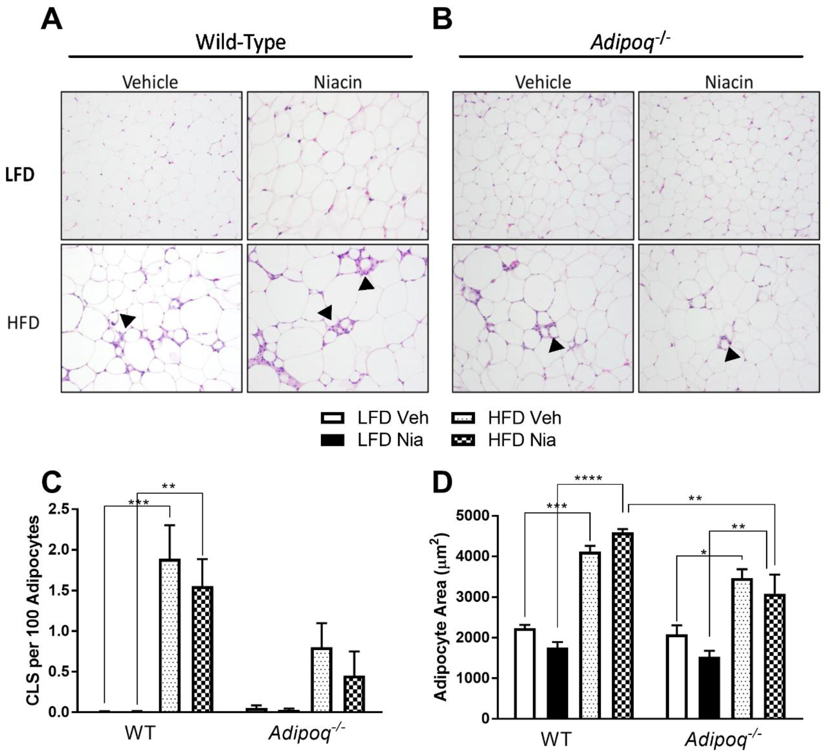 Nutrients 12 02427 g004