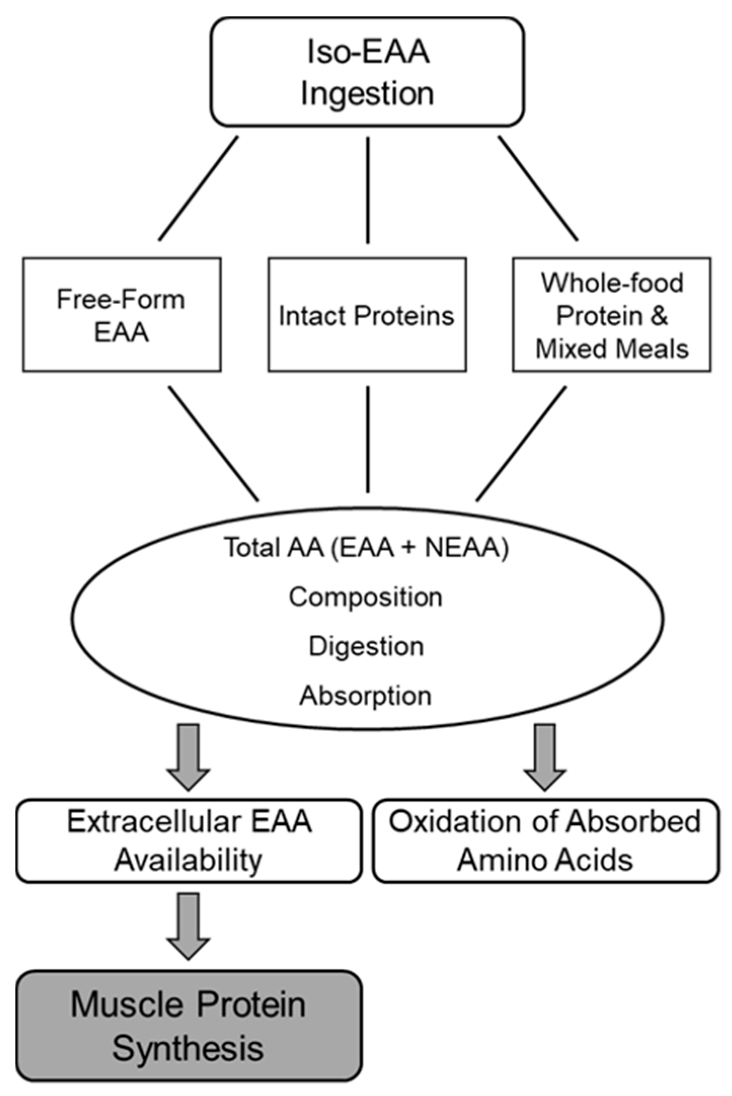 Nutrients 12 02457 g001