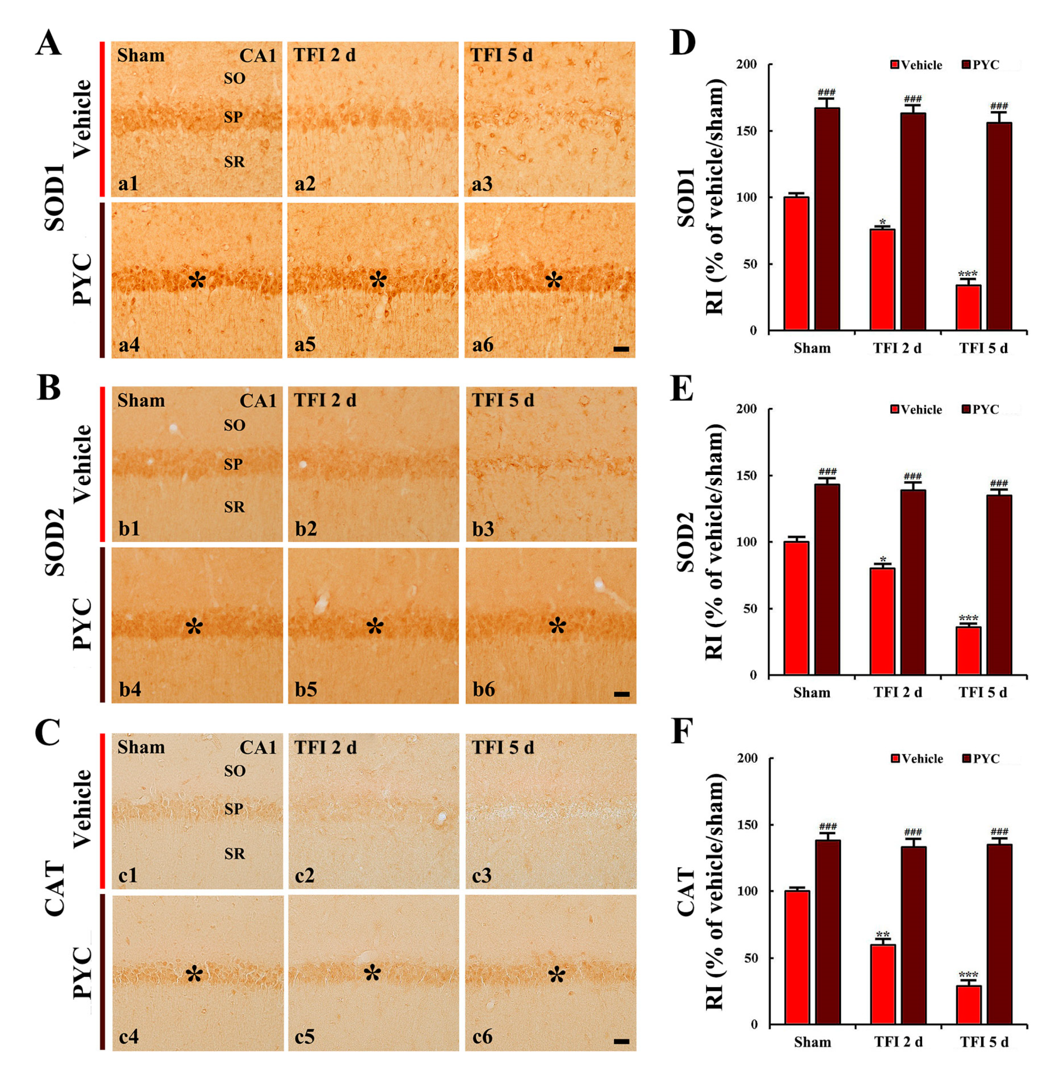 Nutrients 12 02477 g005