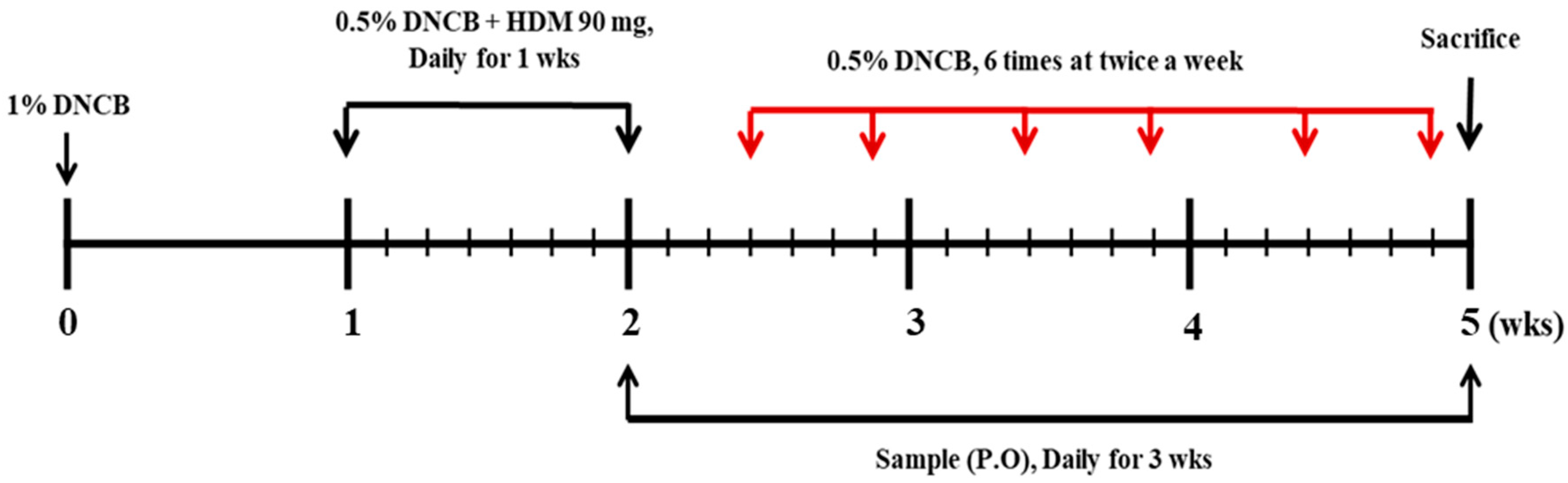 Nutrients 12 02482 g001