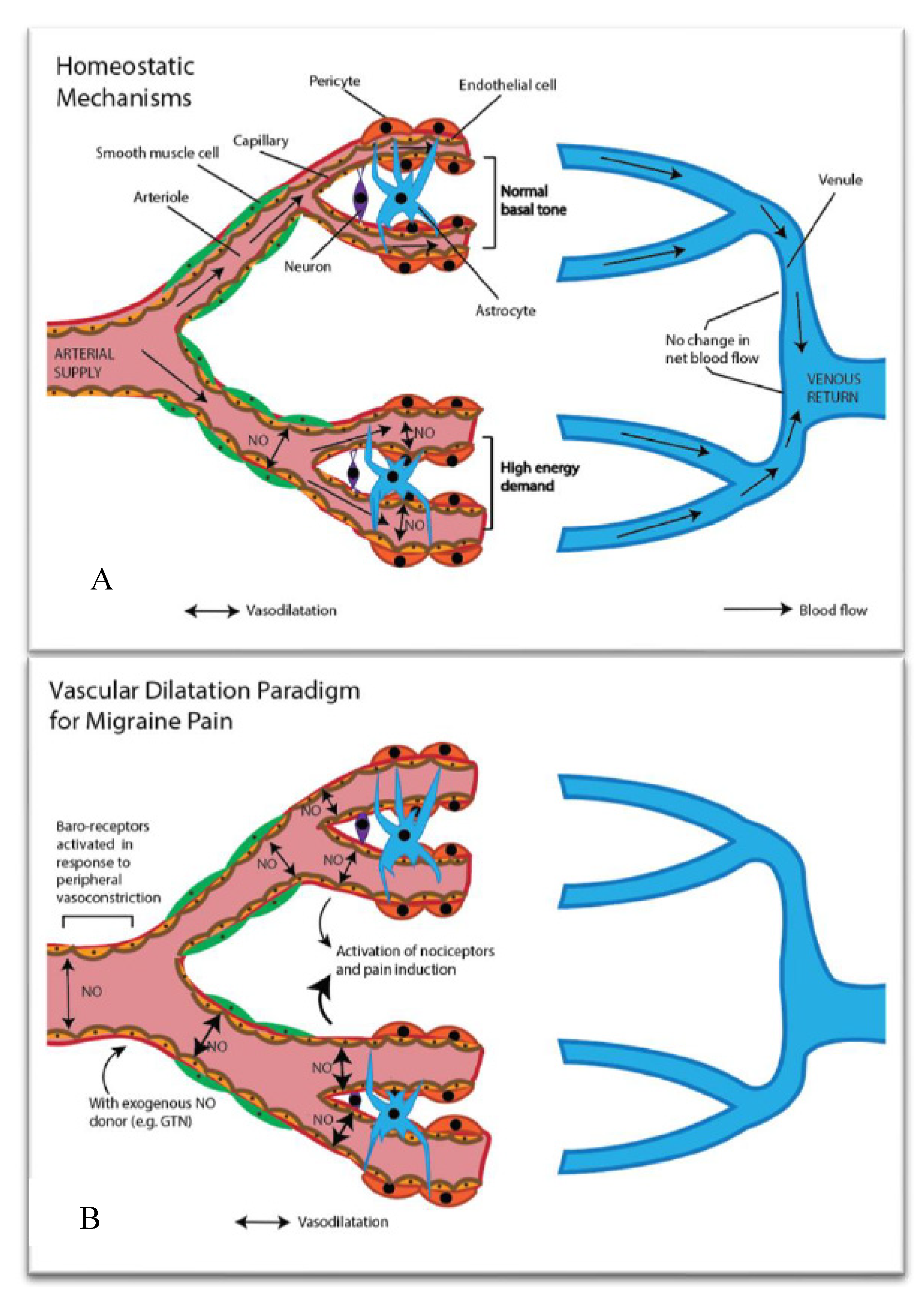 Nutrients 12 02487 g002
