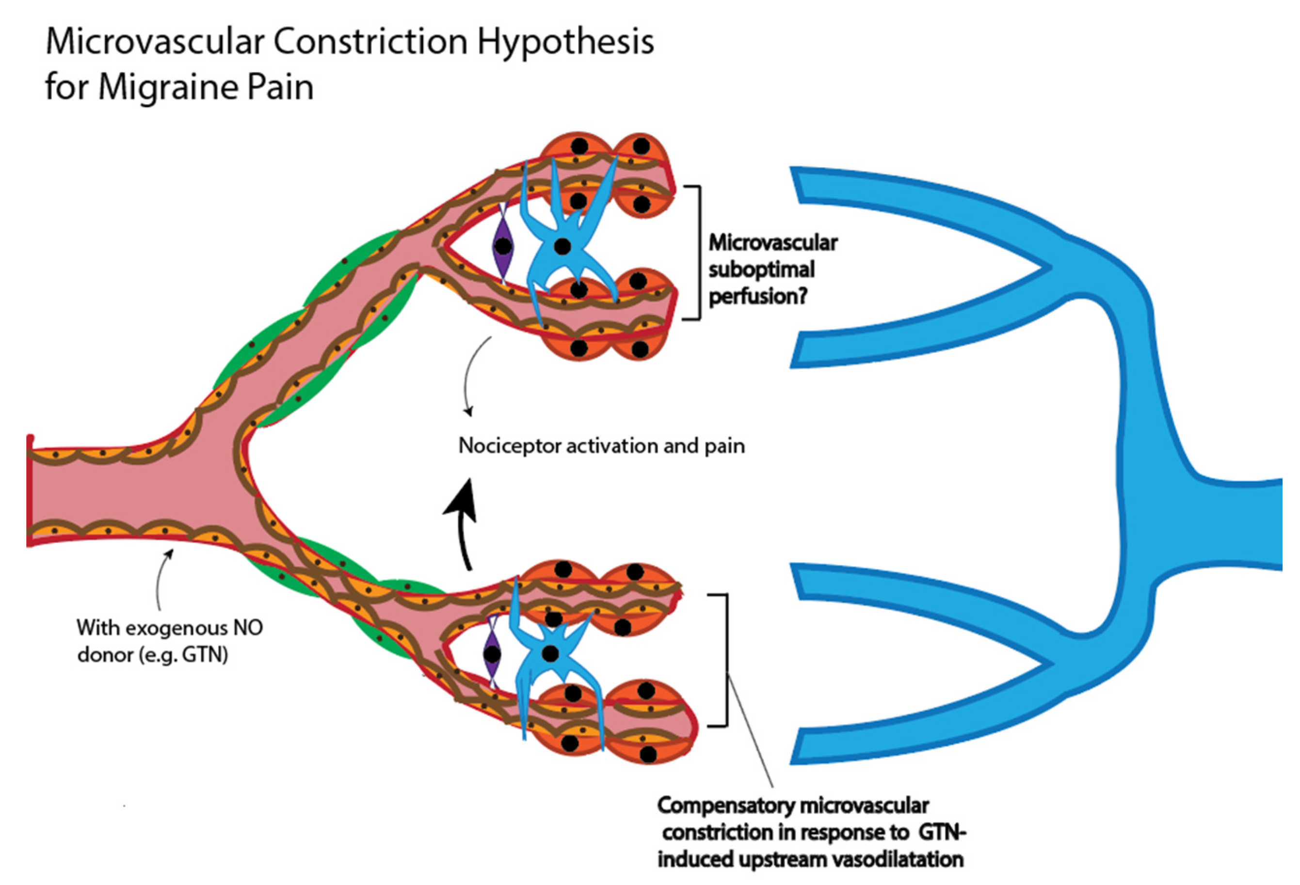 Nutrients 12 02487 g003