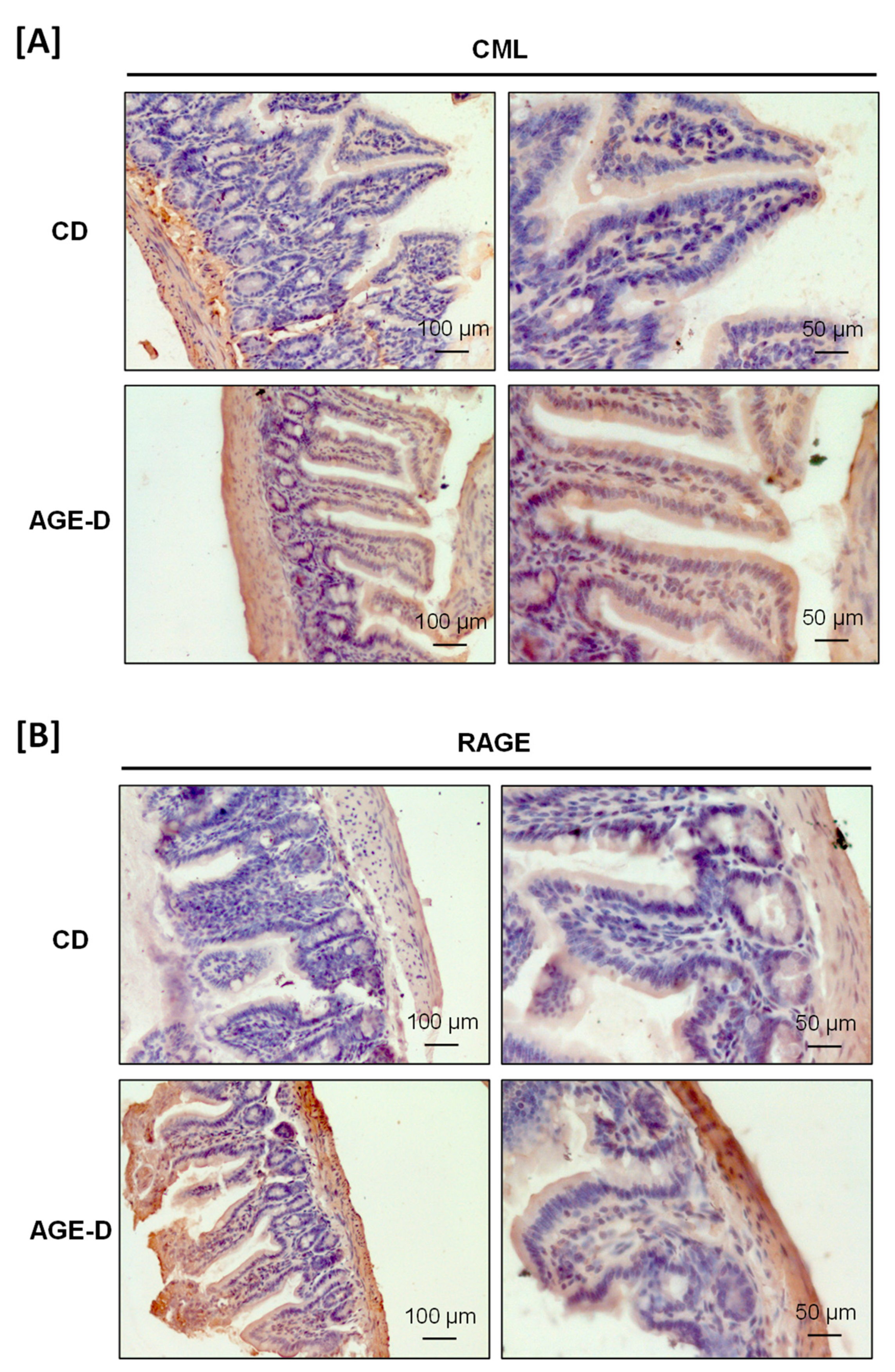 Nutrients 12 02497 g003 Nutrients 12 02497 g003
