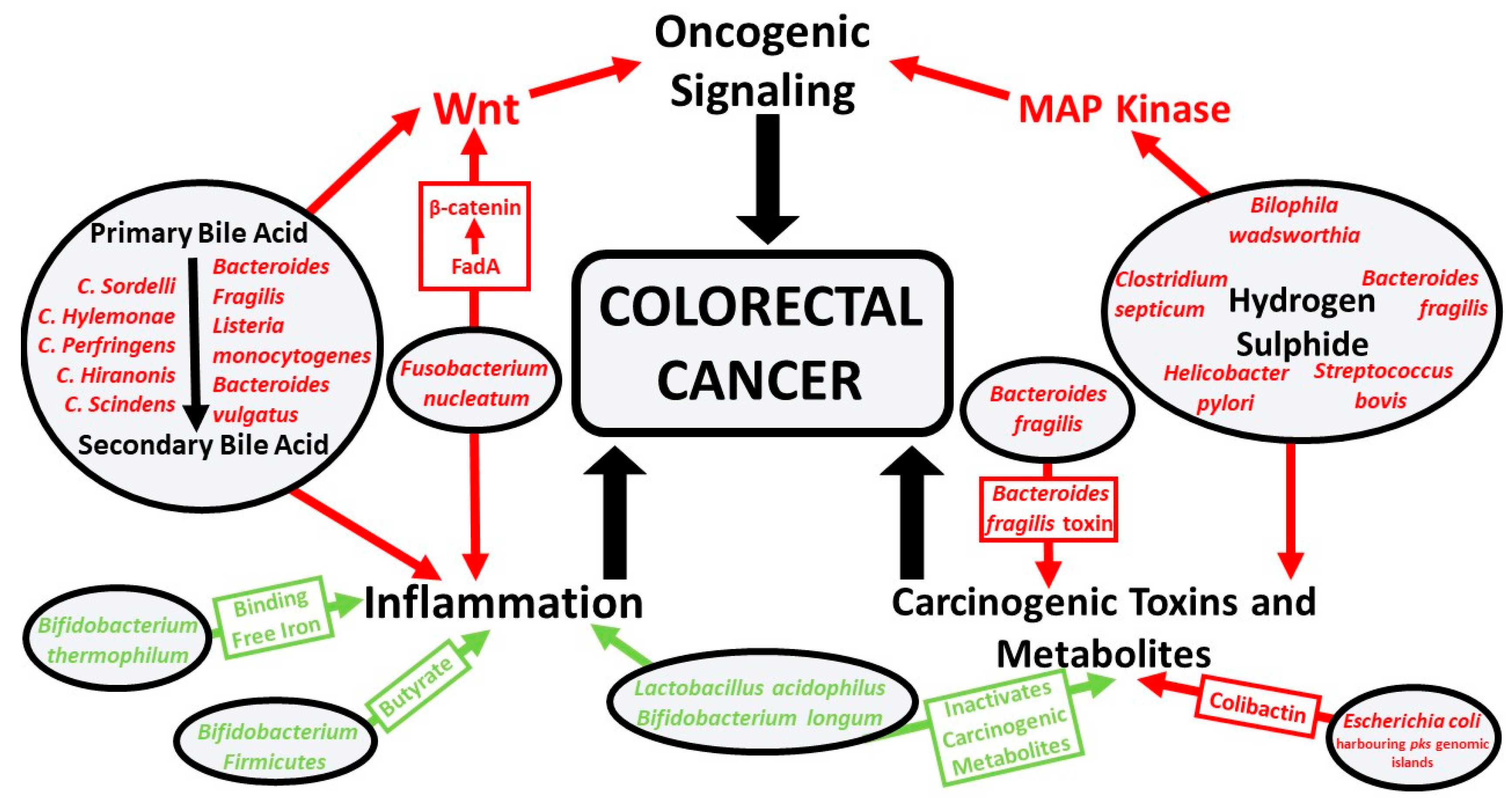 Nutrients 12 02512 g001