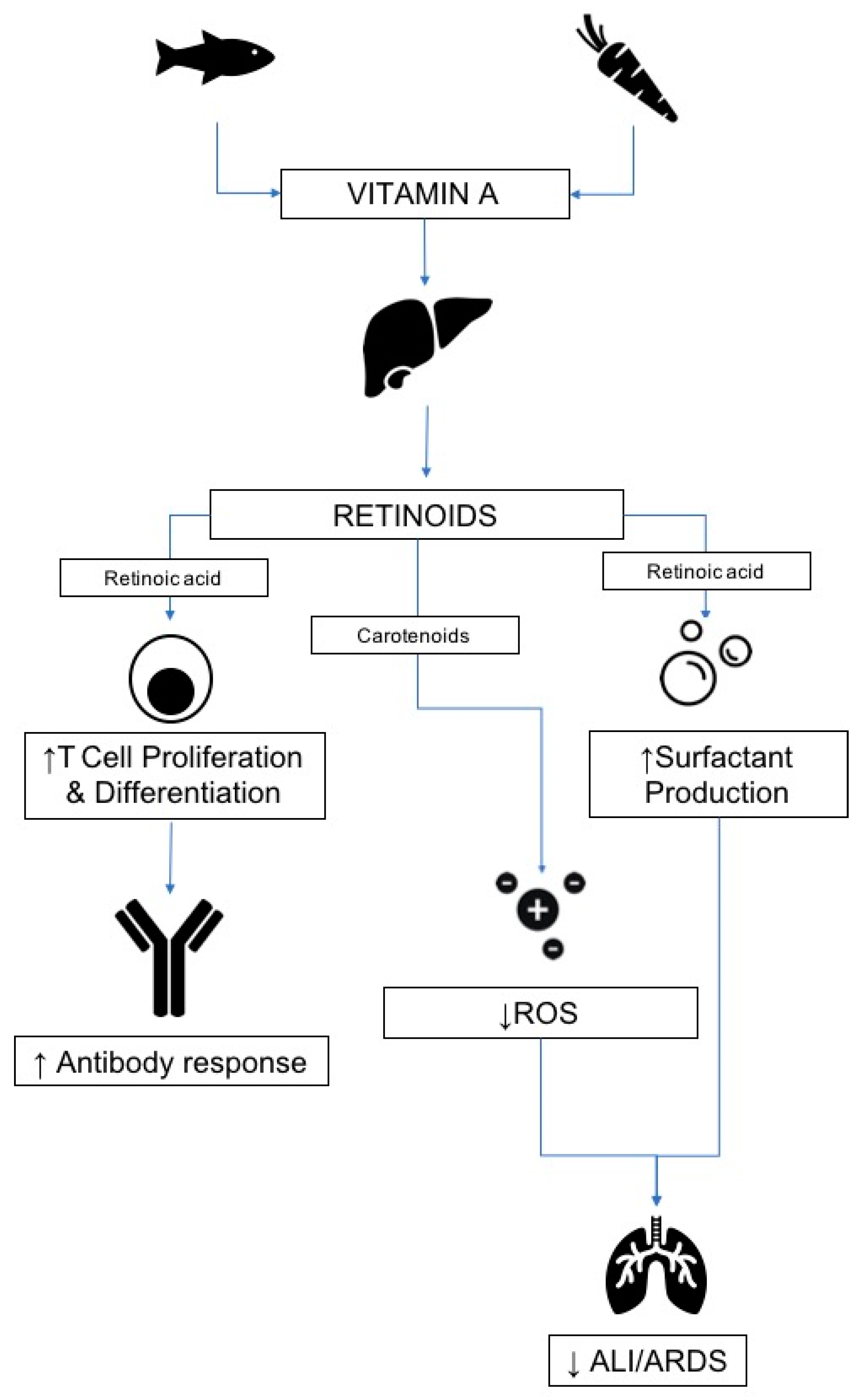 Nutrients 12 02550 g004