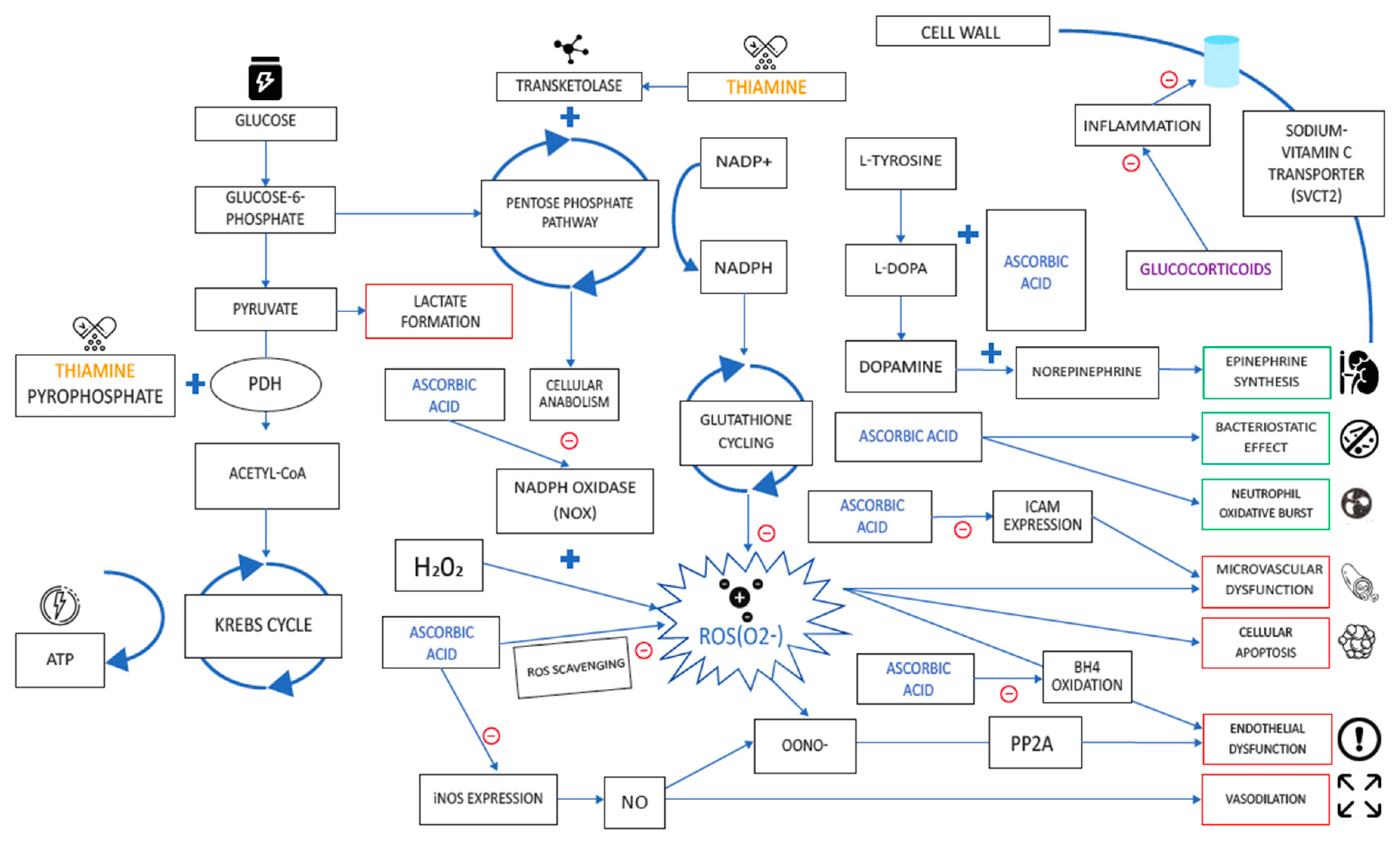 Nutrients 12 02550 g005