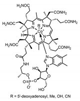 Nutrients 12 02550 i007