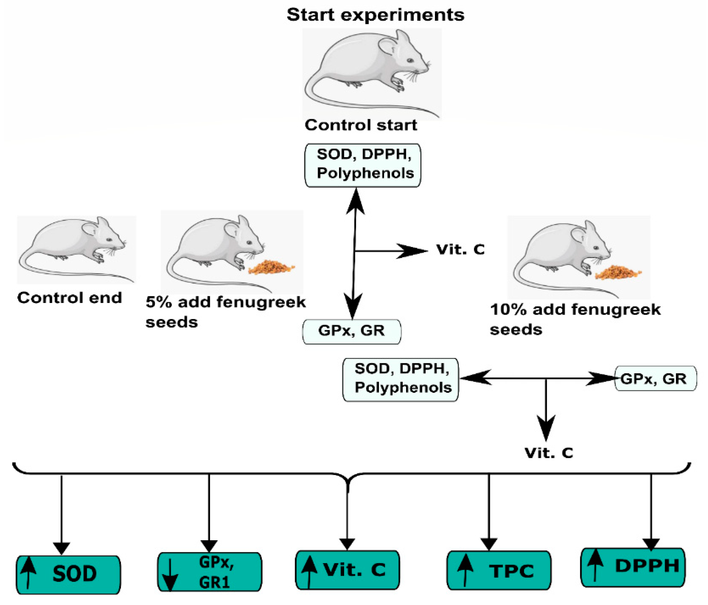 Nutrients 12 02552 g004