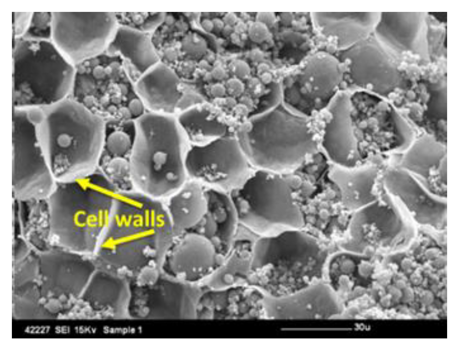 Nutrients 12 02553 g002 Nutrients 12 02553 g002