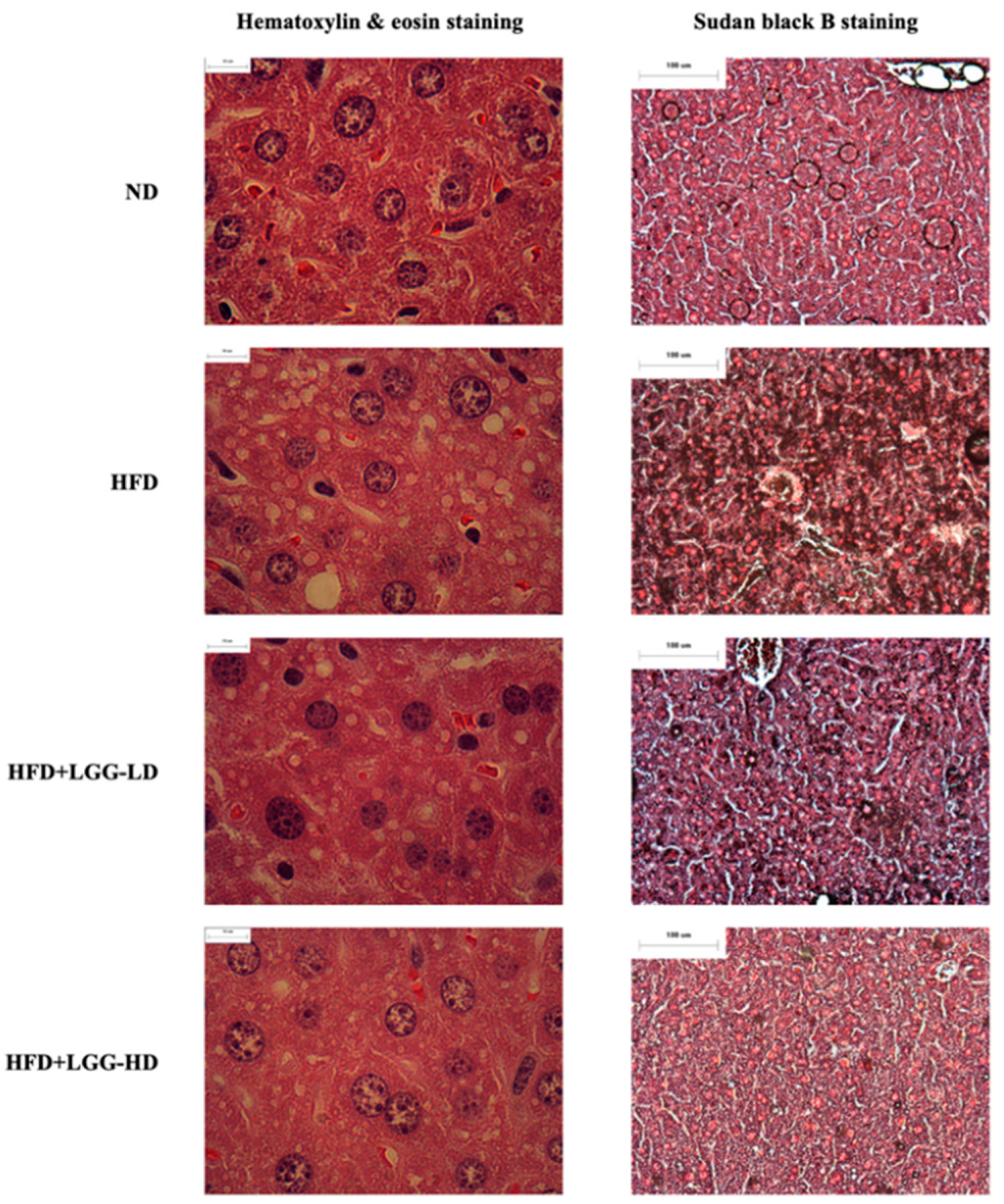 Nutrients 12 02557 g002