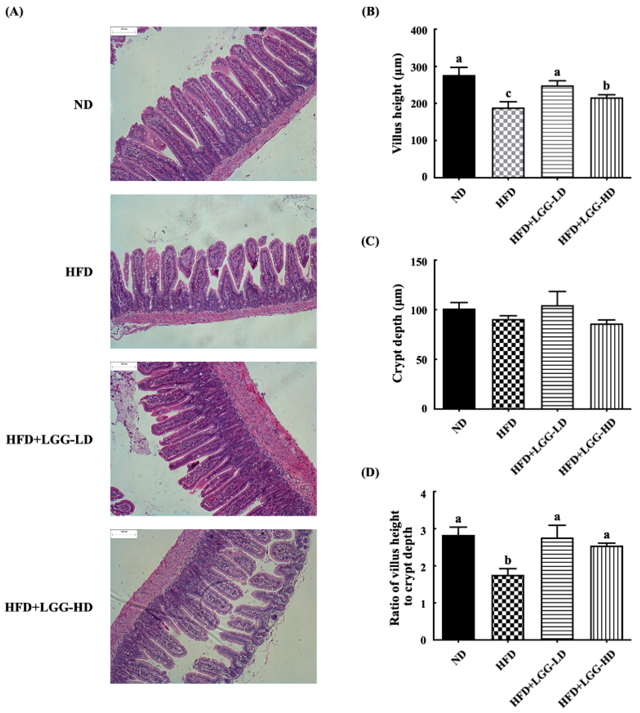 Nutrients 12 02557 g004