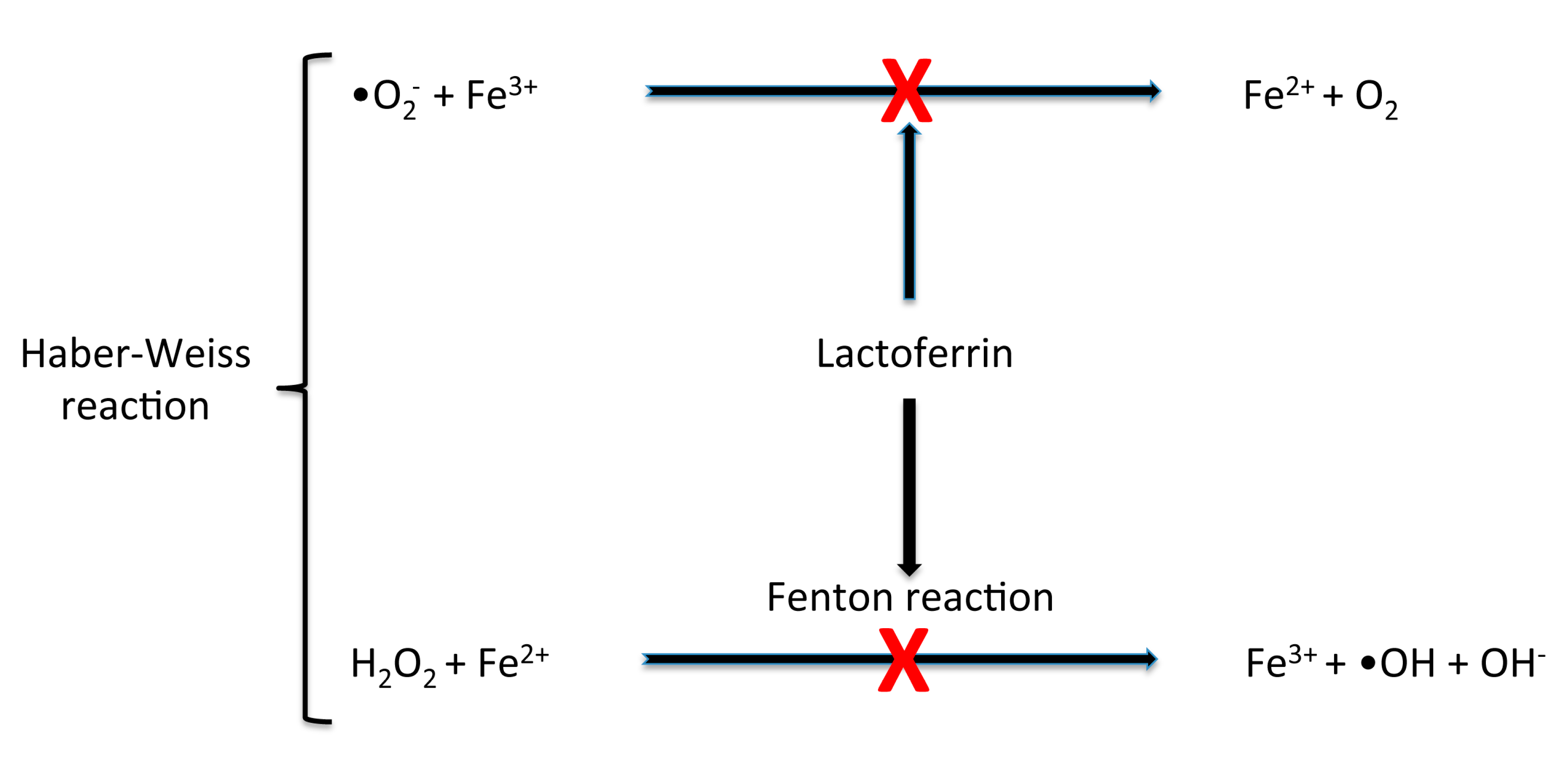Nutrients 12 02562 g002