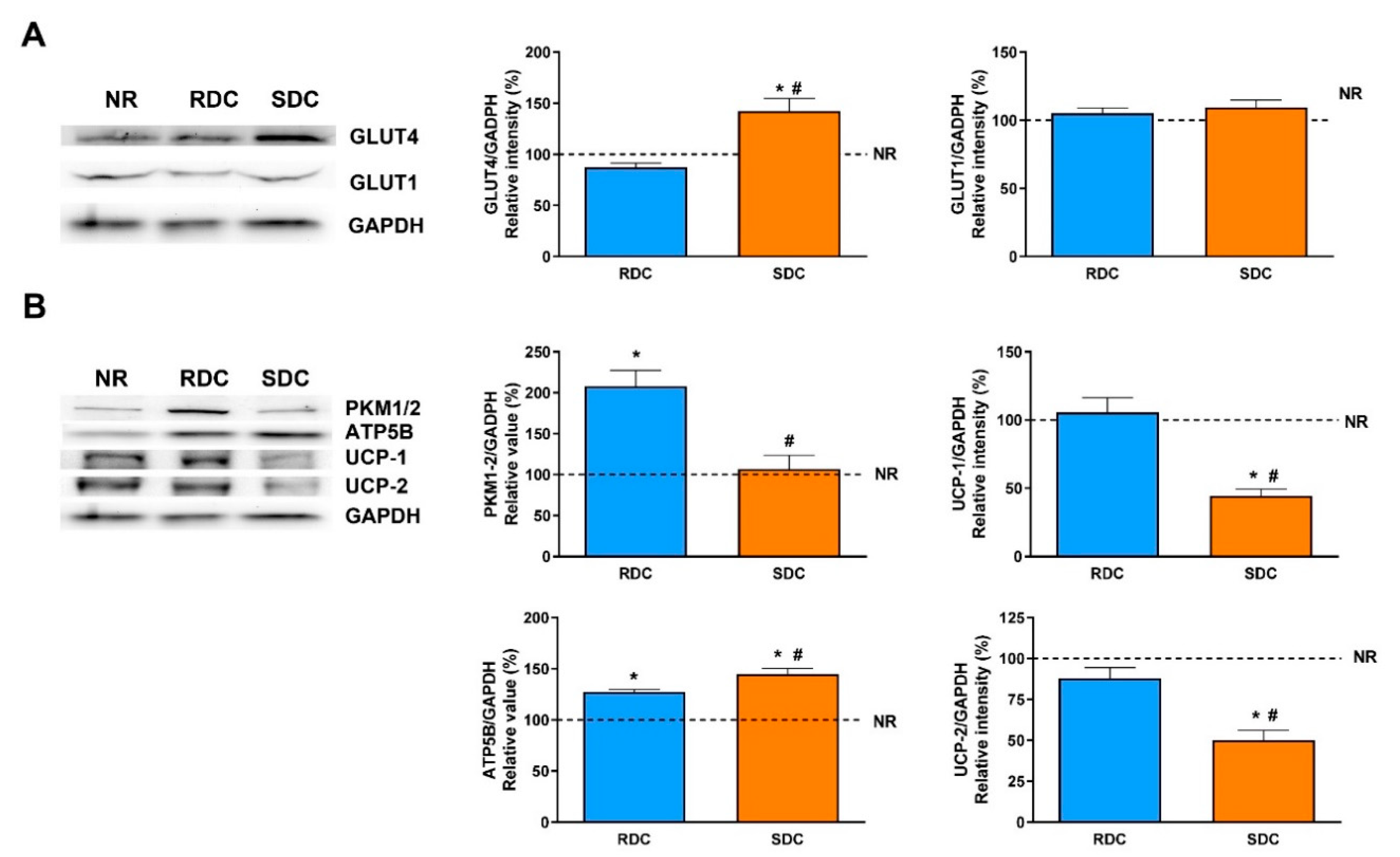 Nutrients 12 02568 g003 Nutrients 12 02568 g003
