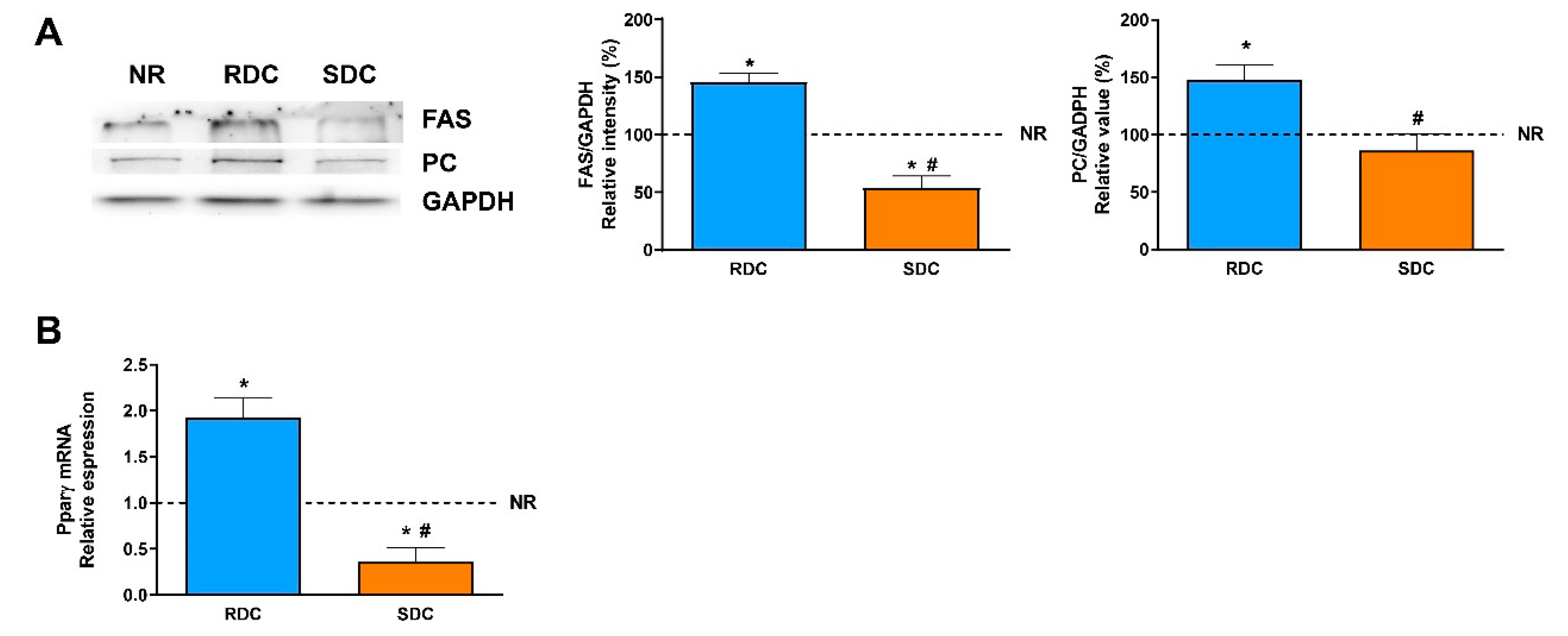 Nutrients 12 02568 g004 Nutrients 12 02568 g004