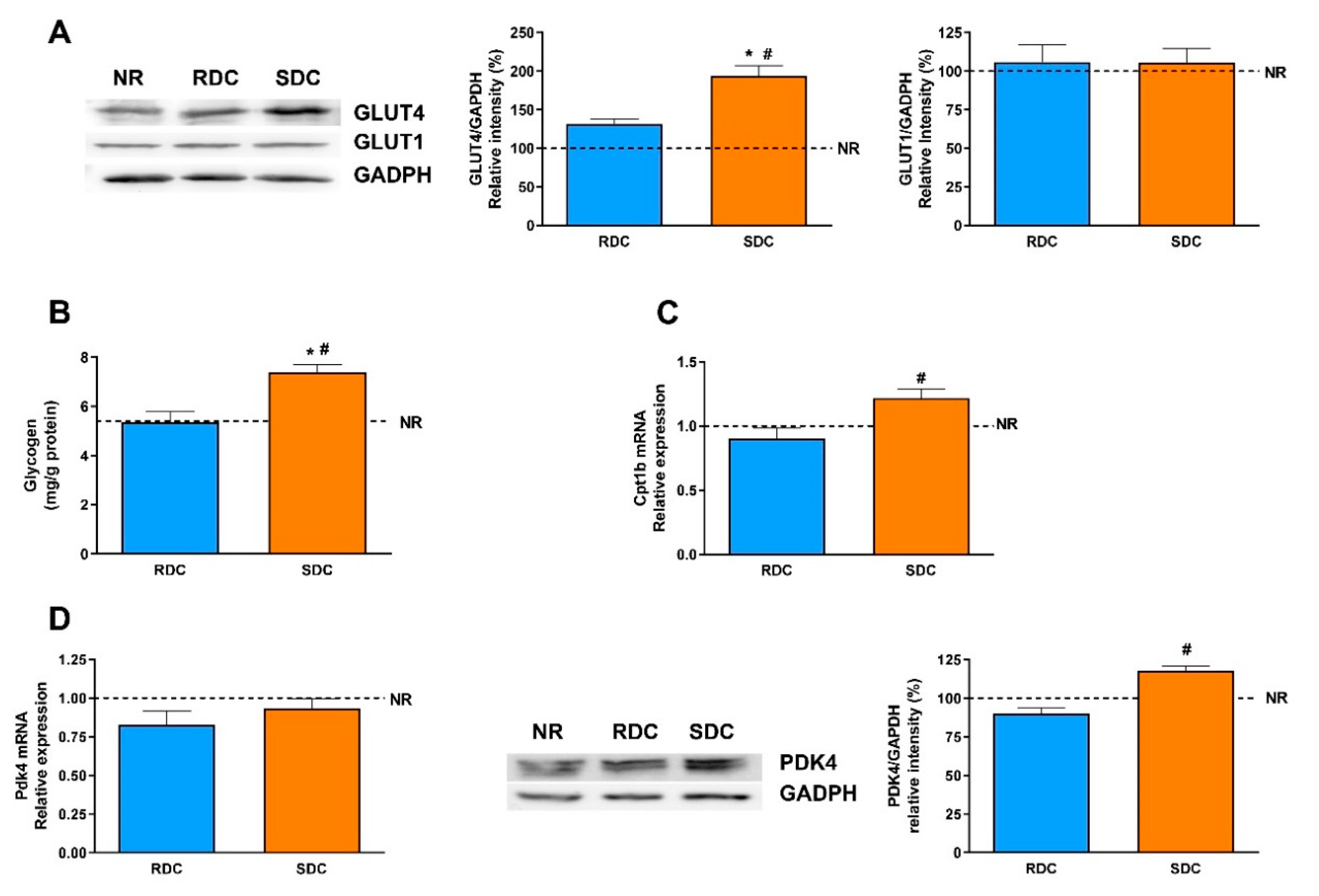 Nutrients 12 02568 g006 Nutrients 12 02568 g006