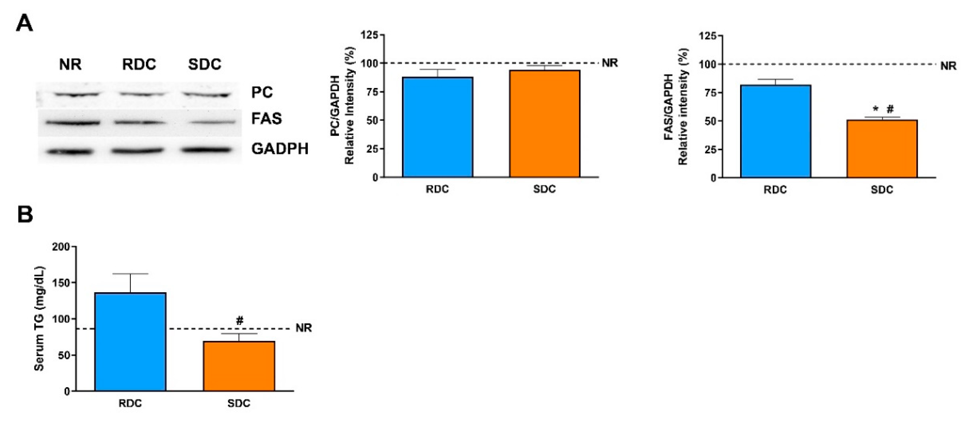 Nutrients 12 02568 g009 Nutrients 12 02568 g009