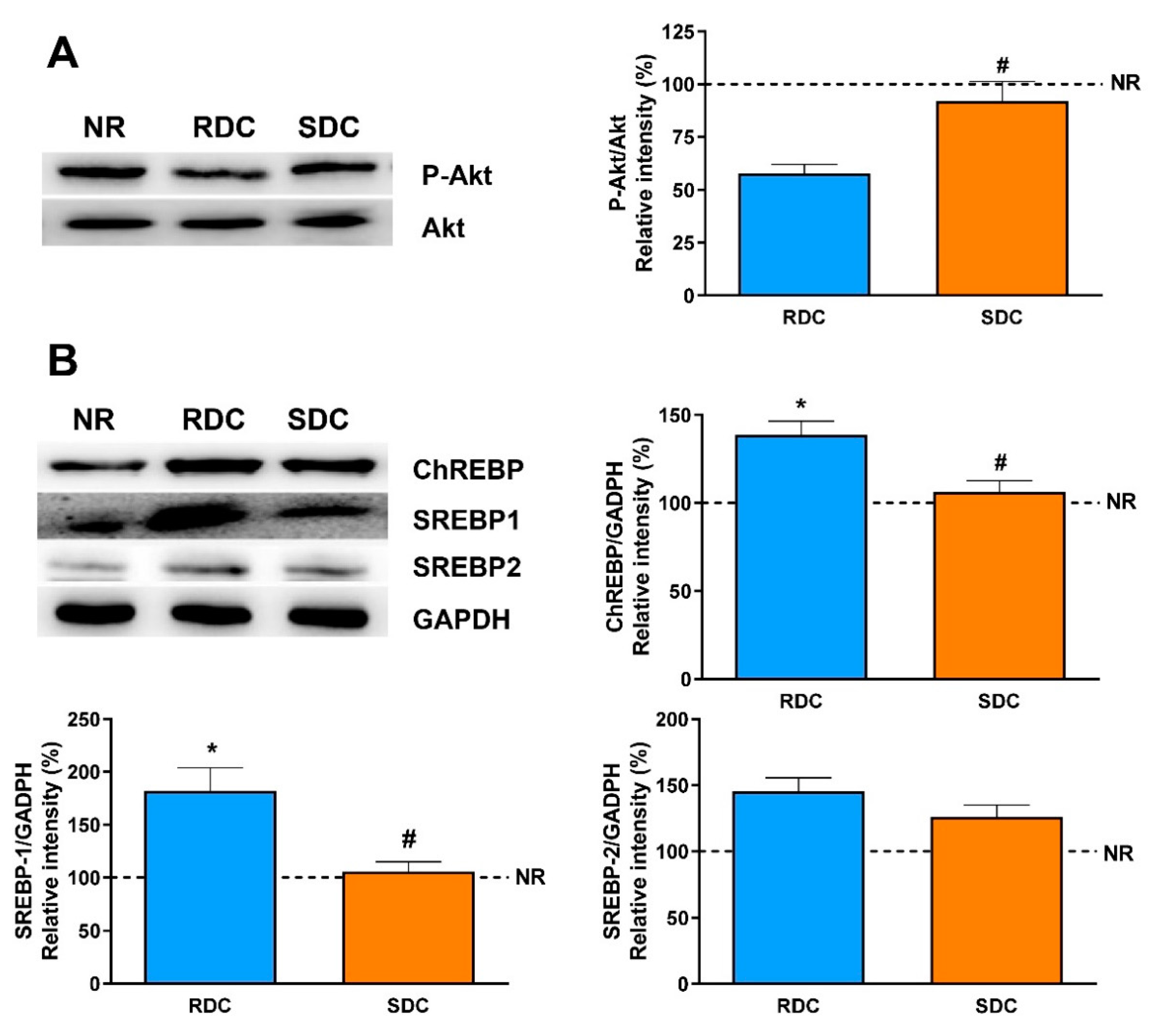 Nutrients 12 02568 g010 Nutrients 12 02568 g010