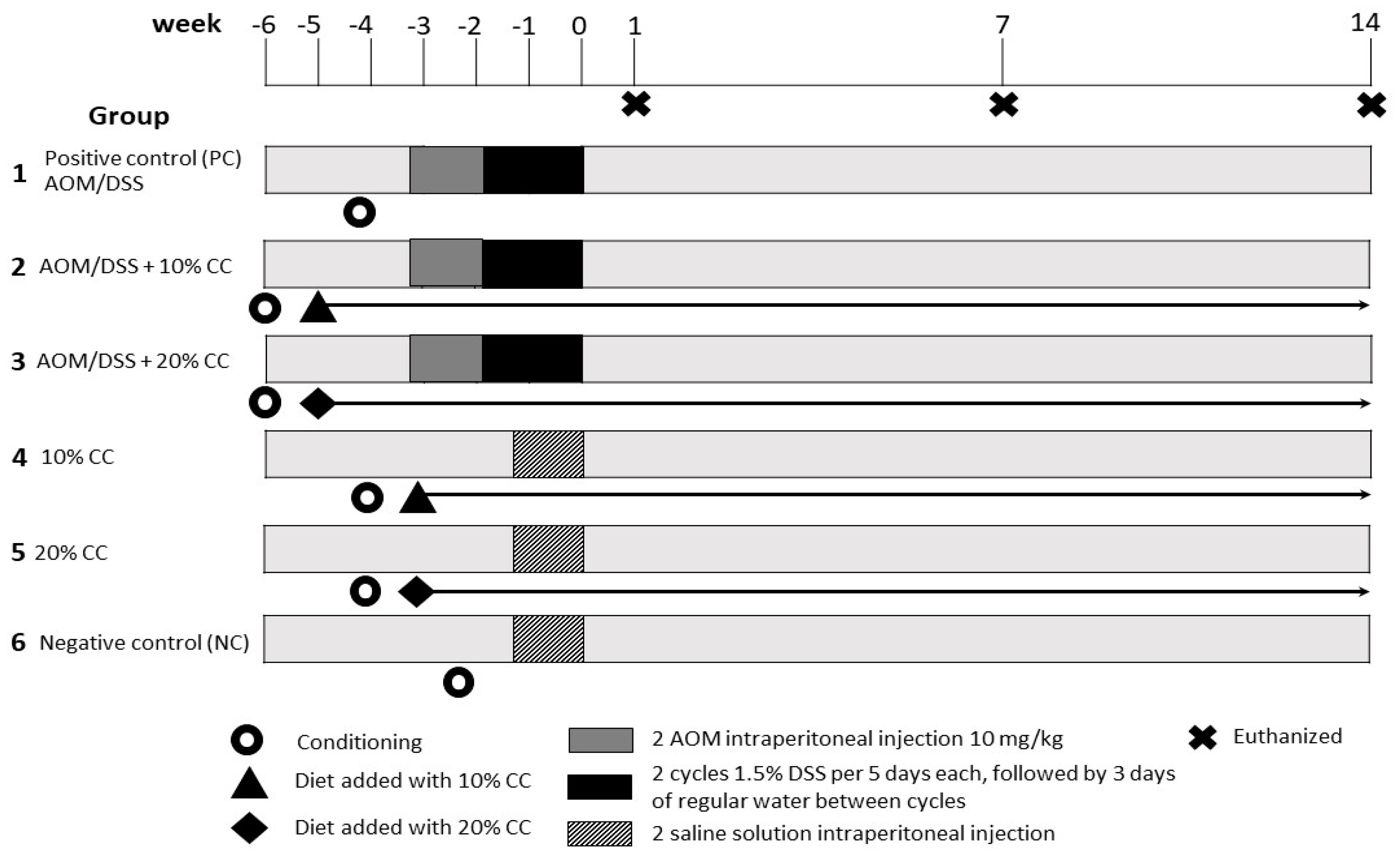 Nutrients 12 02572 g001