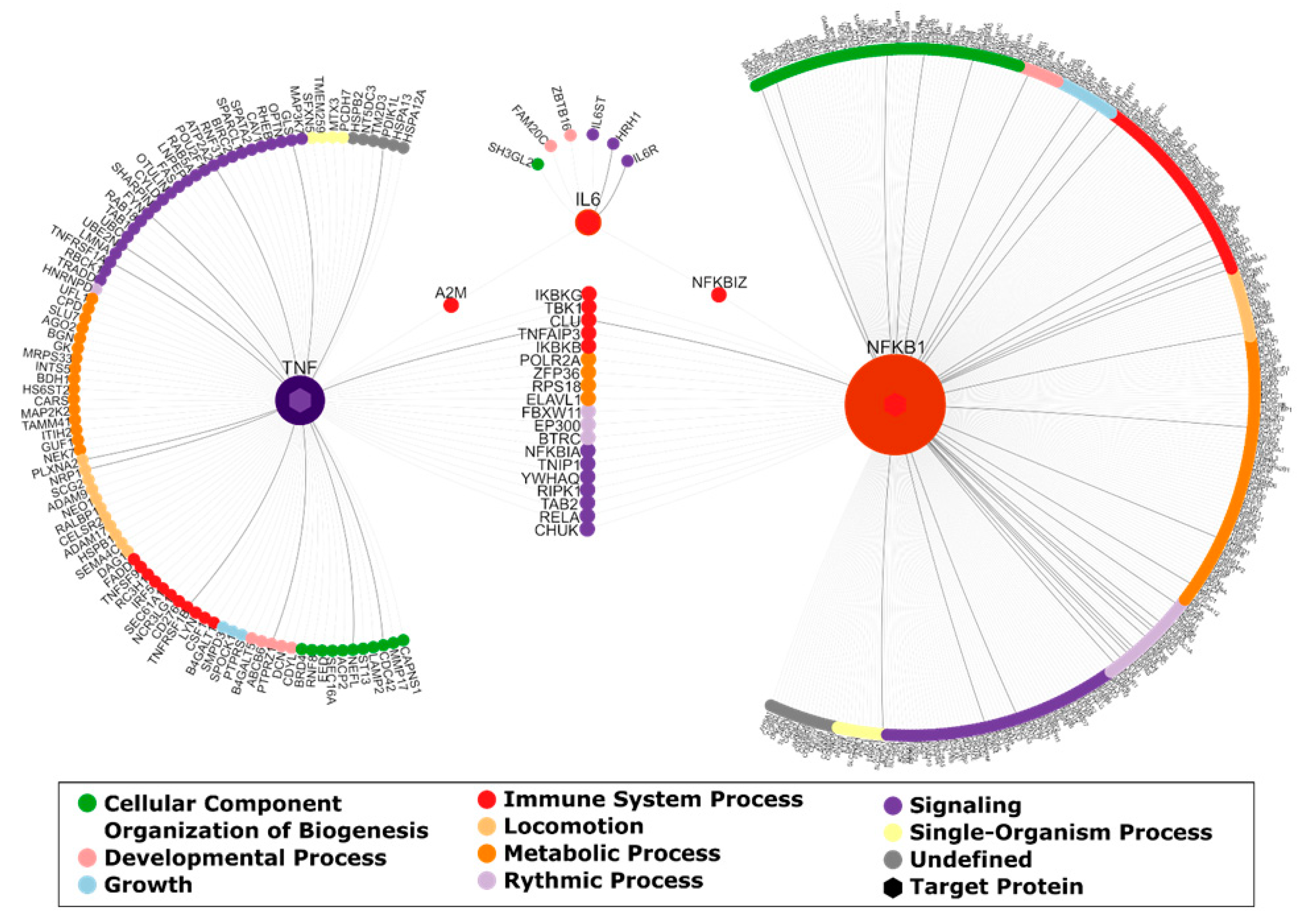 Nutrients 12 02575 g004