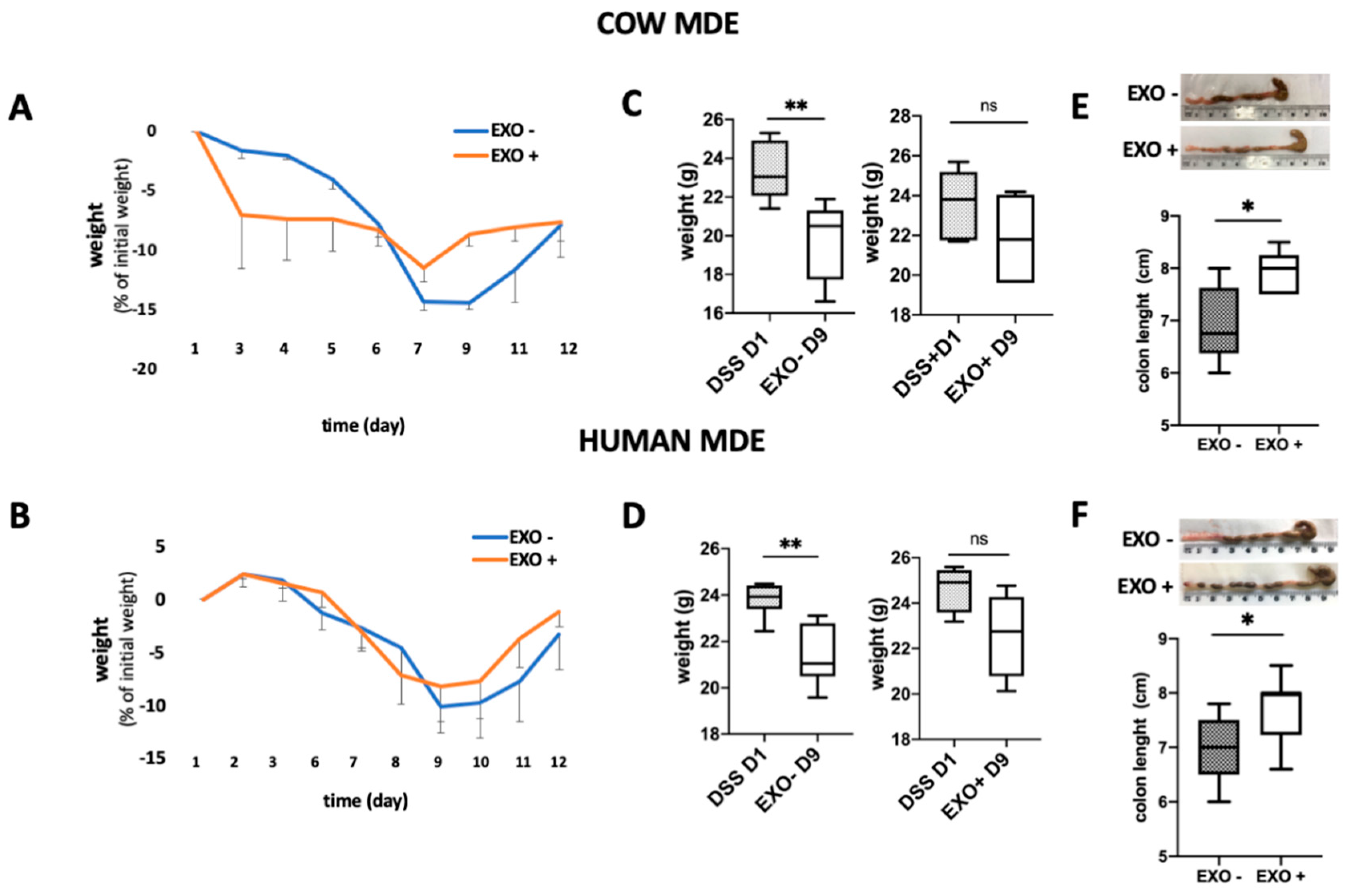 Nutrients 12 02589 g003