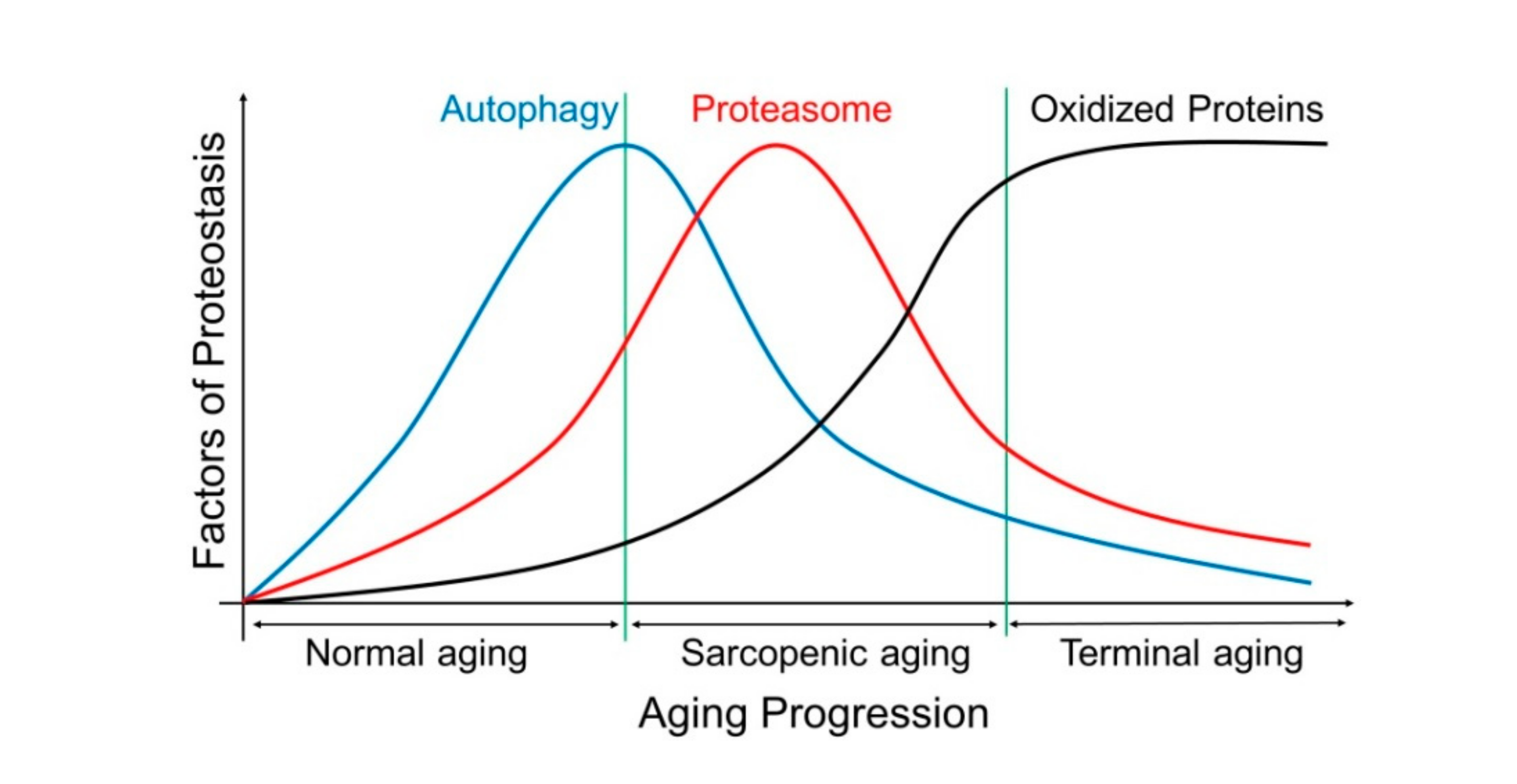 Nutrients 12 02597 g002