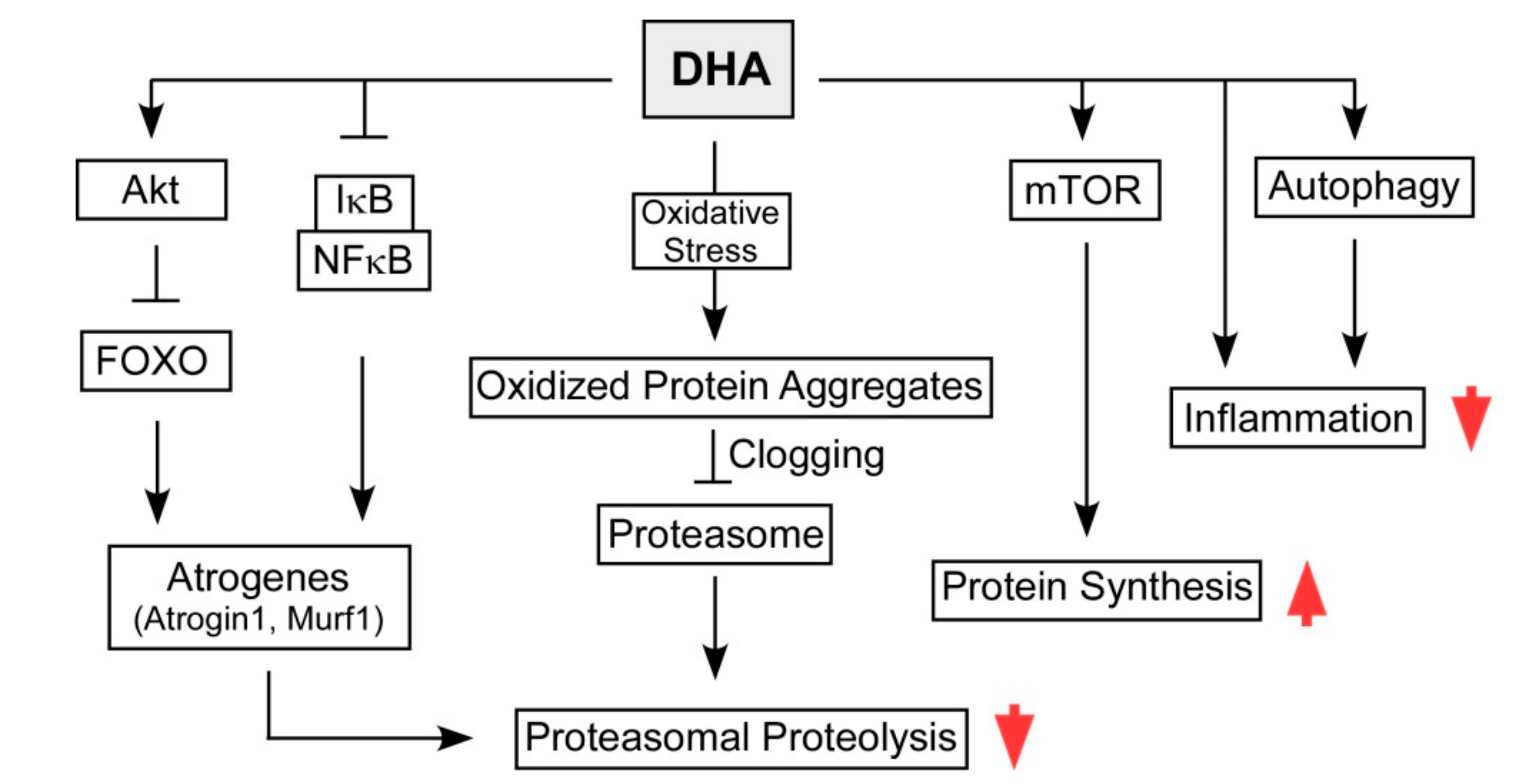 Nutrients 12 02597 g005