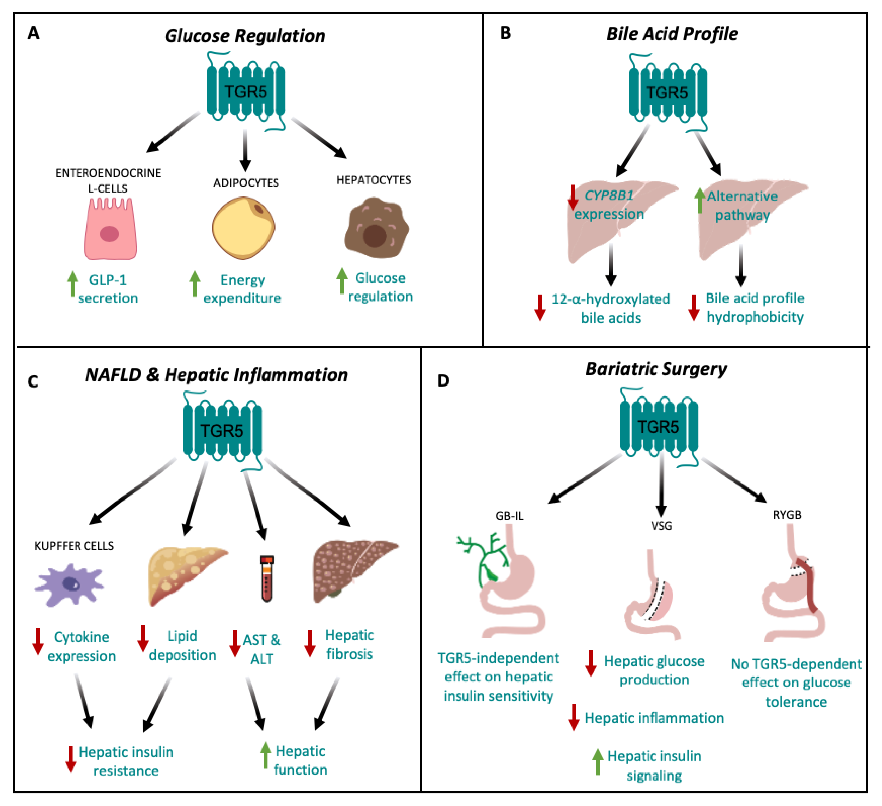 Nutrients 12 02598 g002