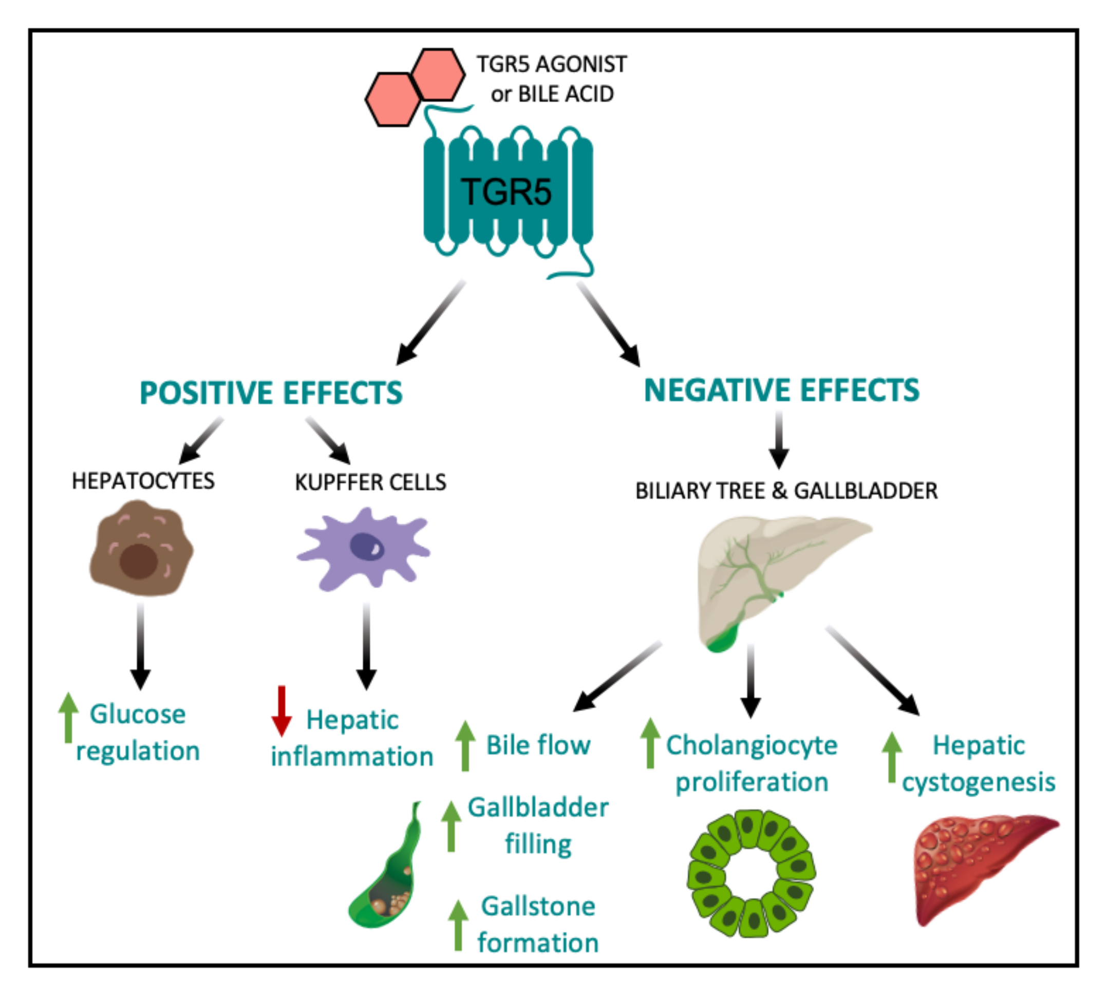 Nutrients 12 02598 g003