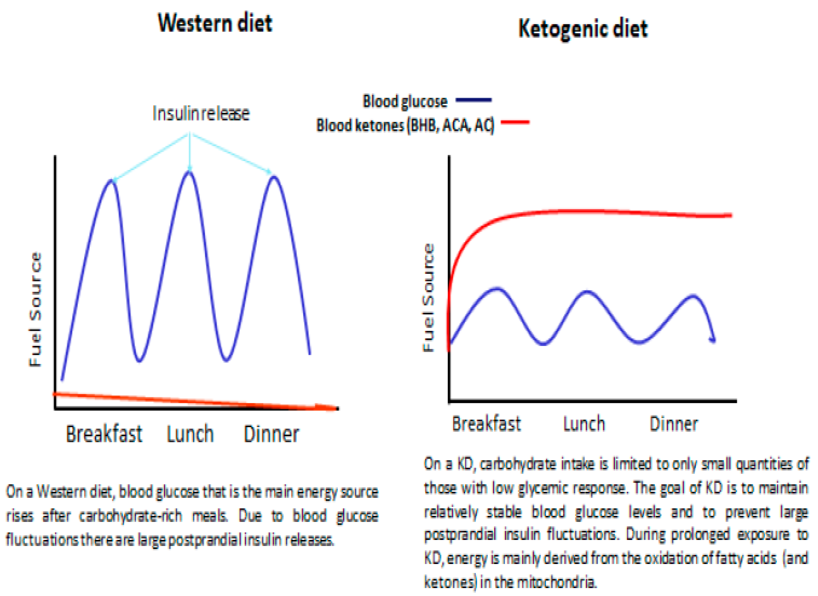 Nutrients 12 02616 g002