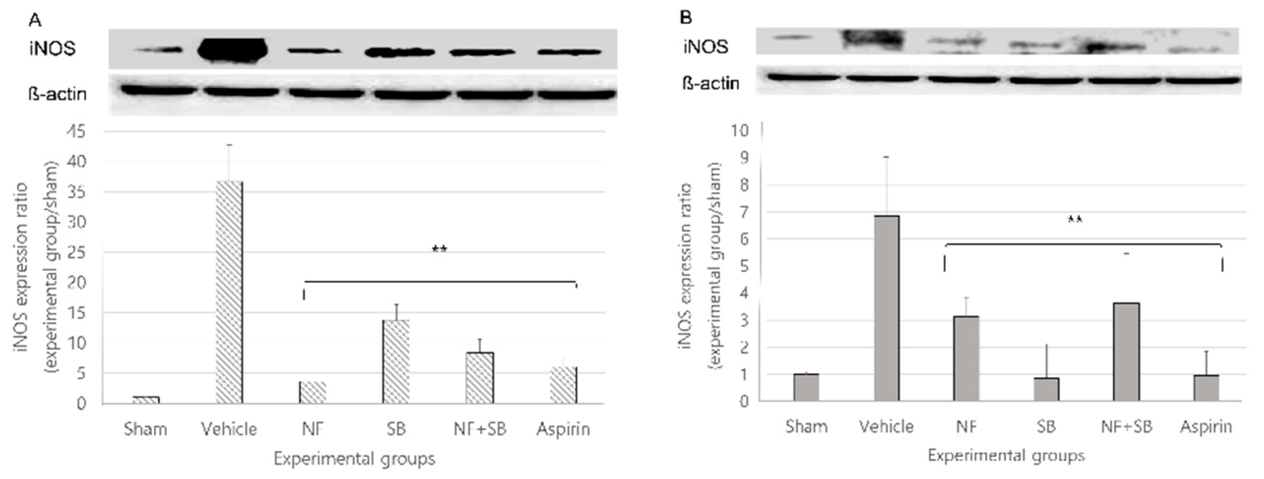 Nutrients 12 02618 g007