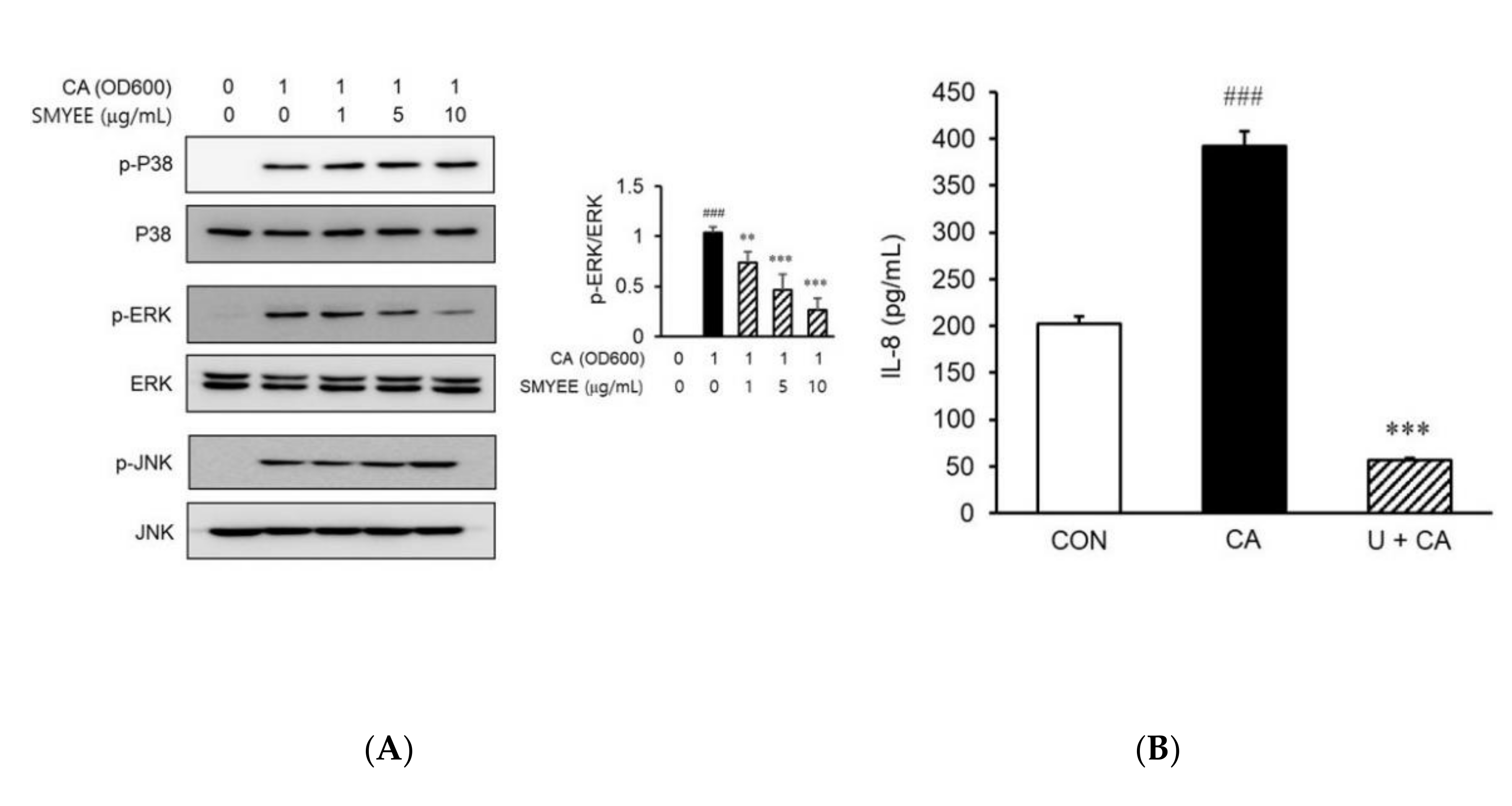 Nutrients 12 02620 g005